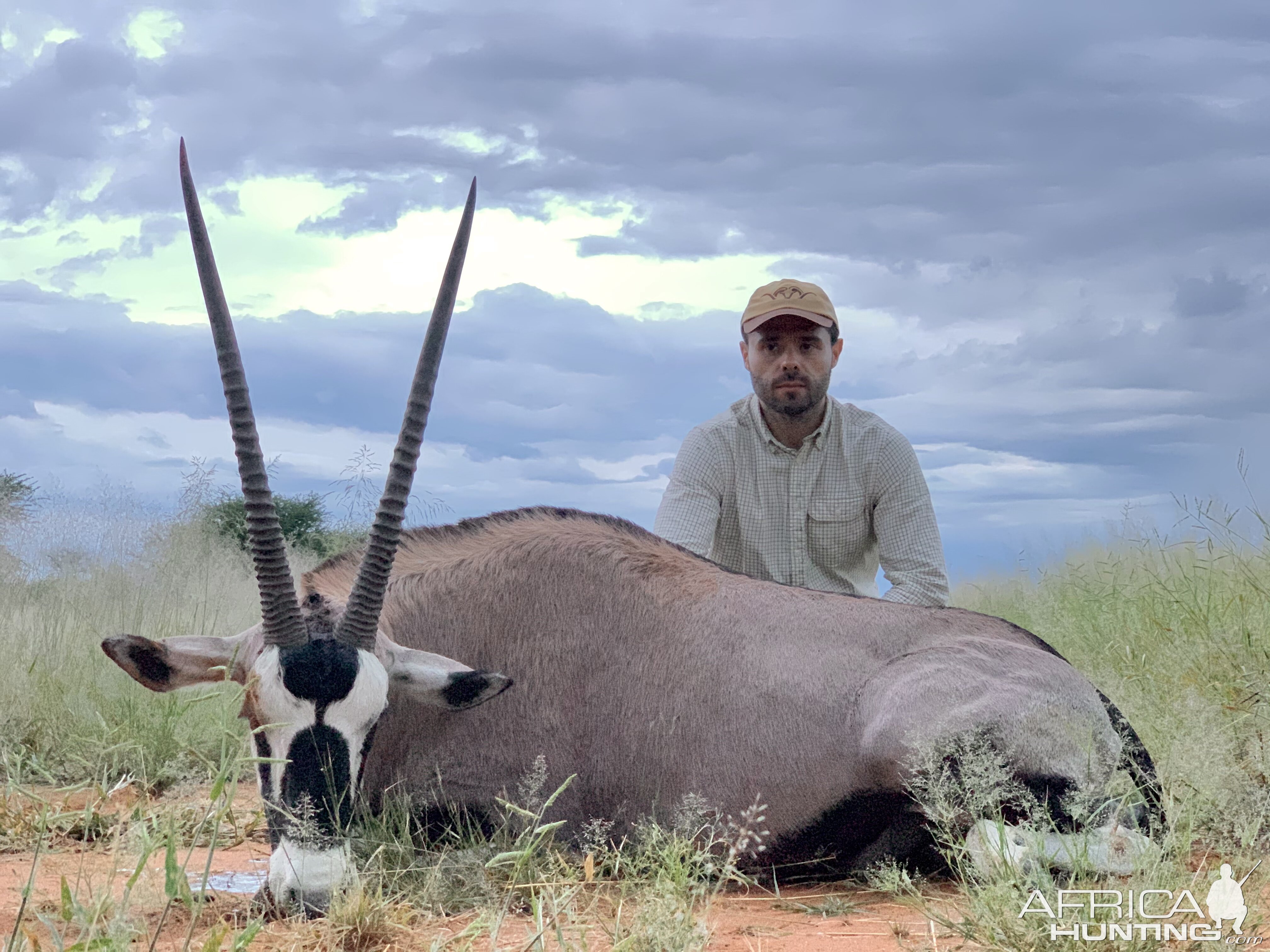 Gemsbok Hunting Namibia