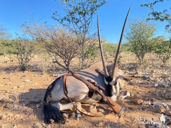 Gemsbok Hunting Namibia