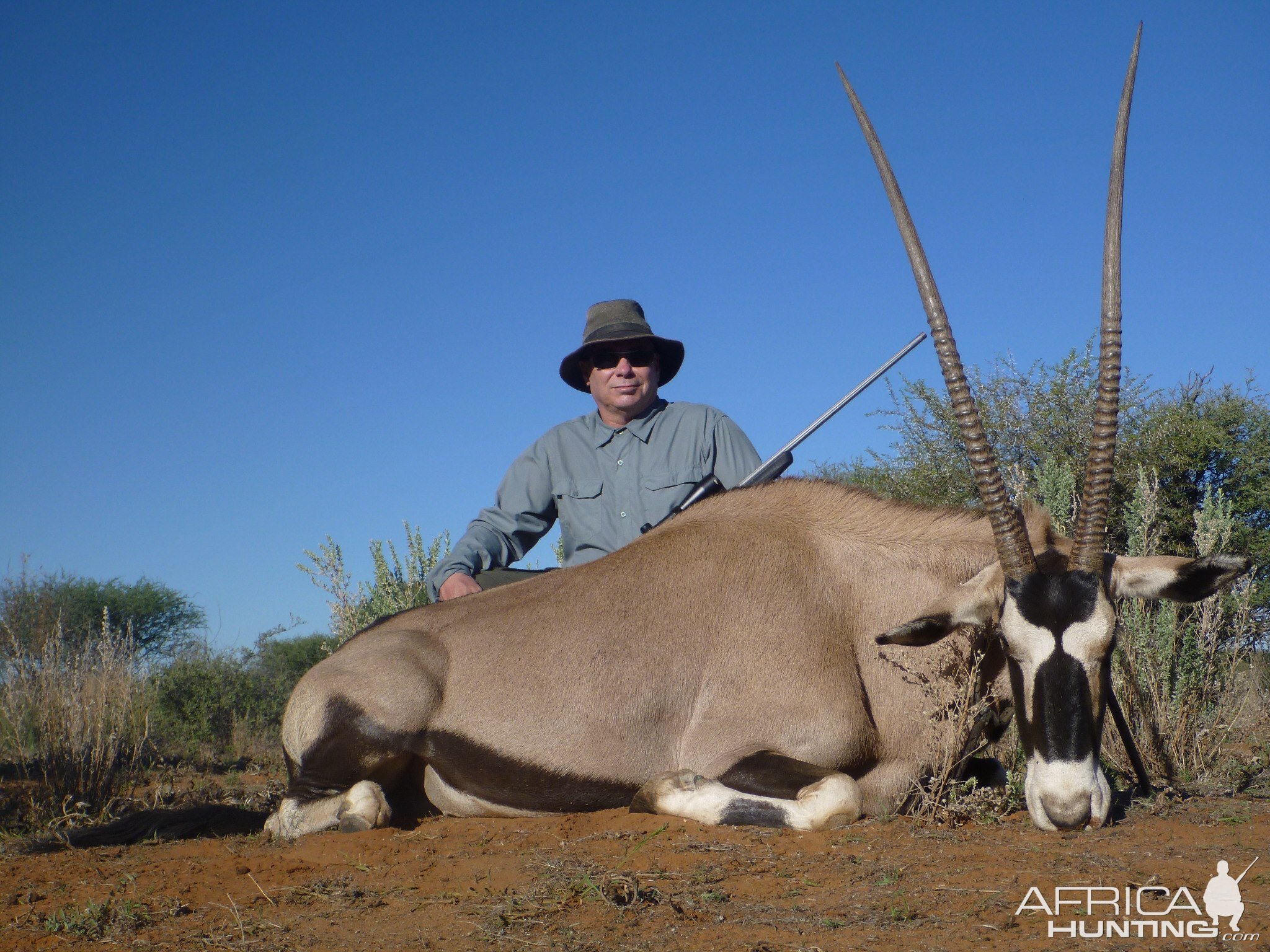 Gemsbok Hunting Namibia