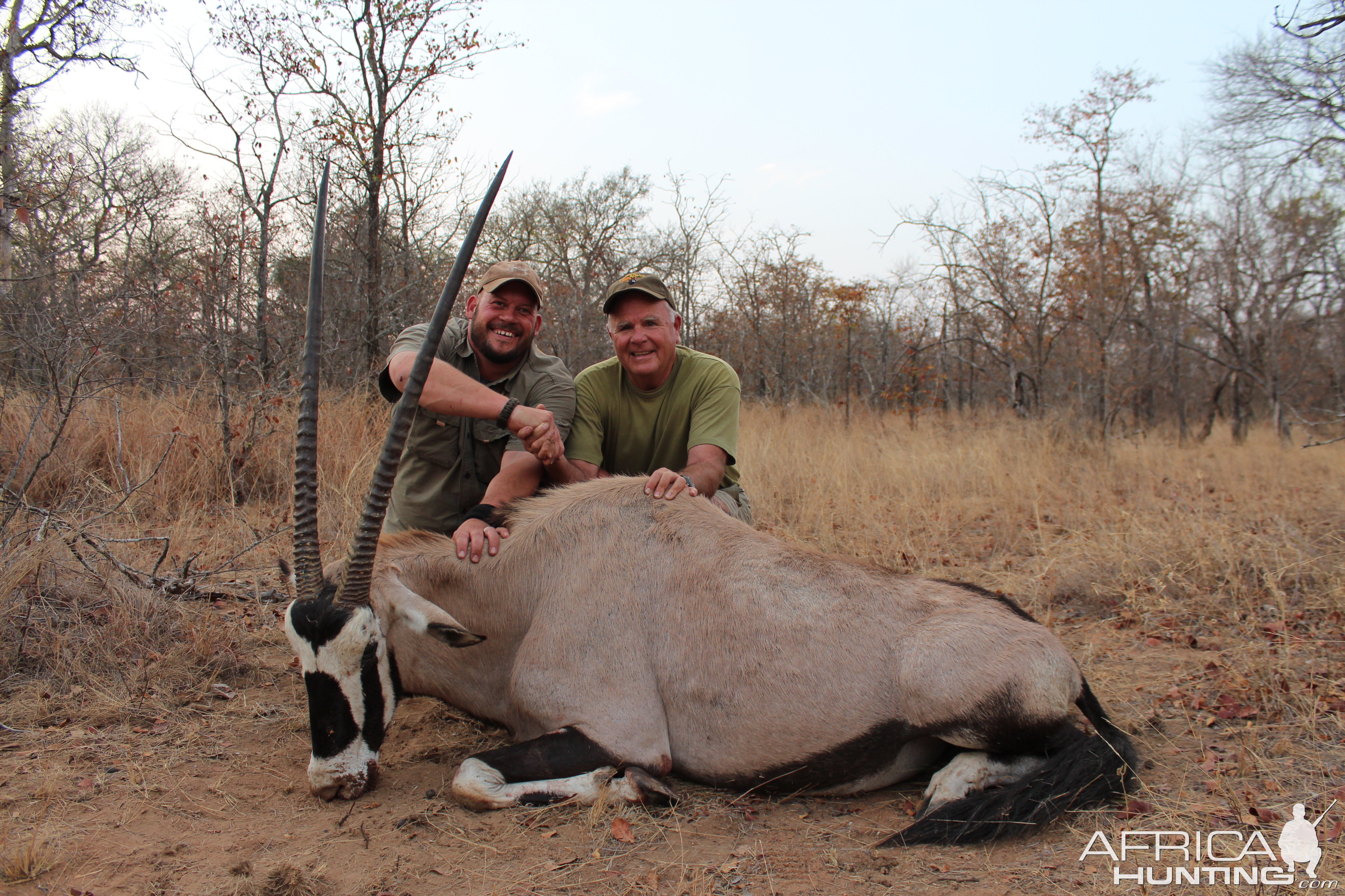 Gemsbok Hunting South Africa