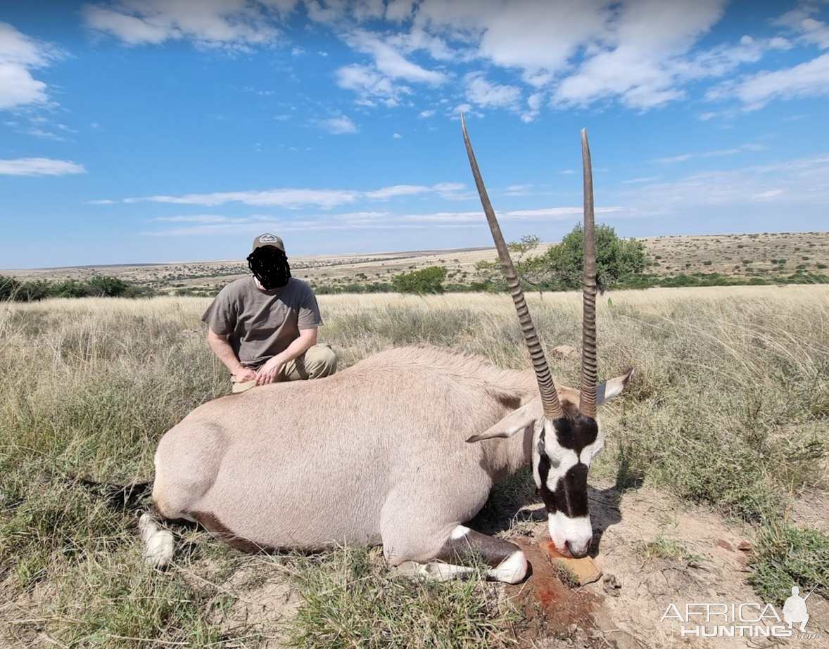 Gemsbok Hunting South Africa