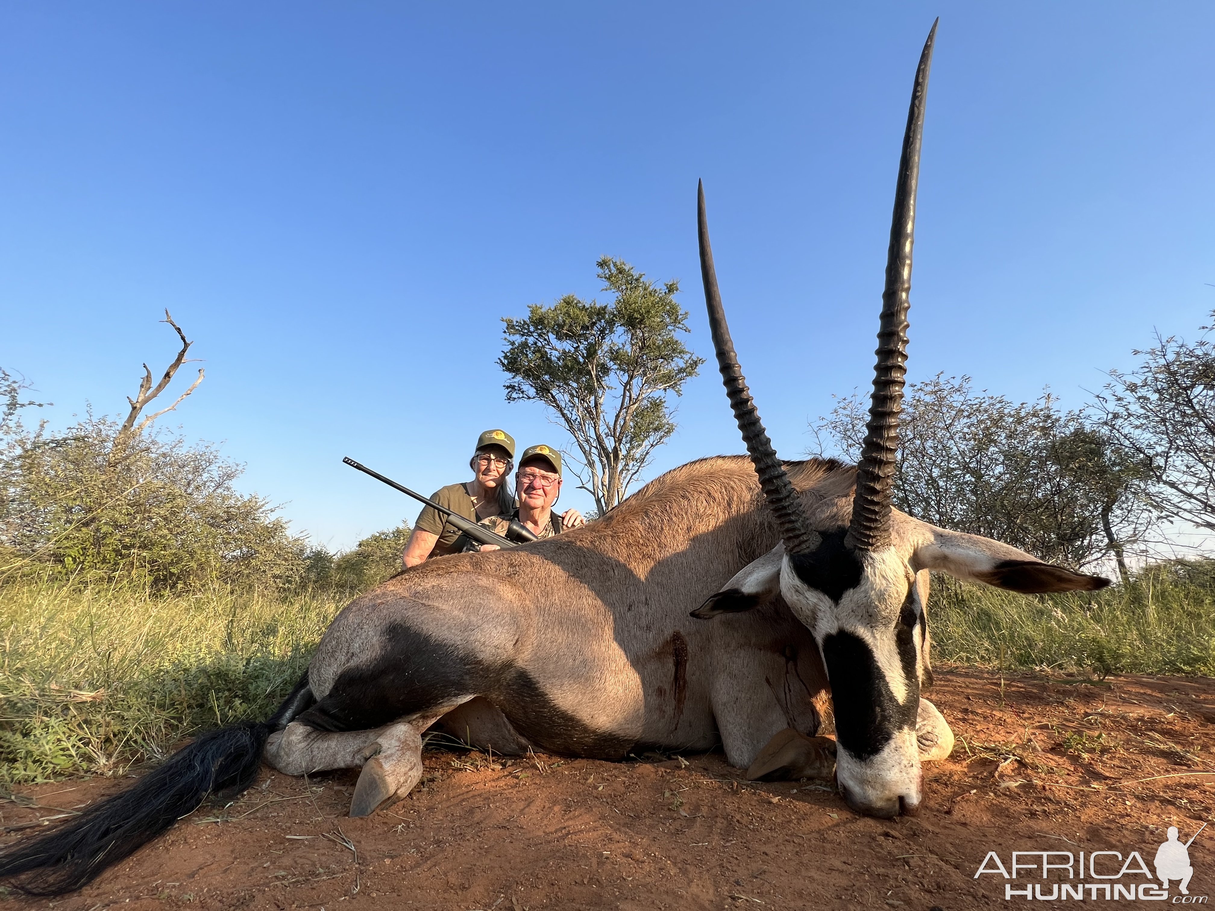 Gemsbok Hunting South Africa