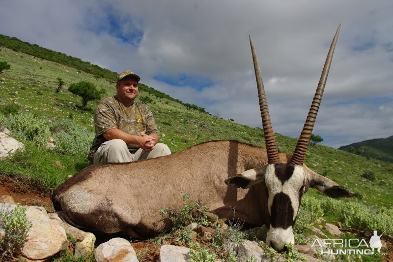 Gemsbok Hunting South Africa