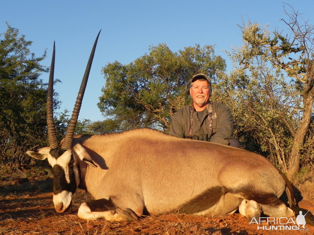 Gemsbok Hunting South Africa