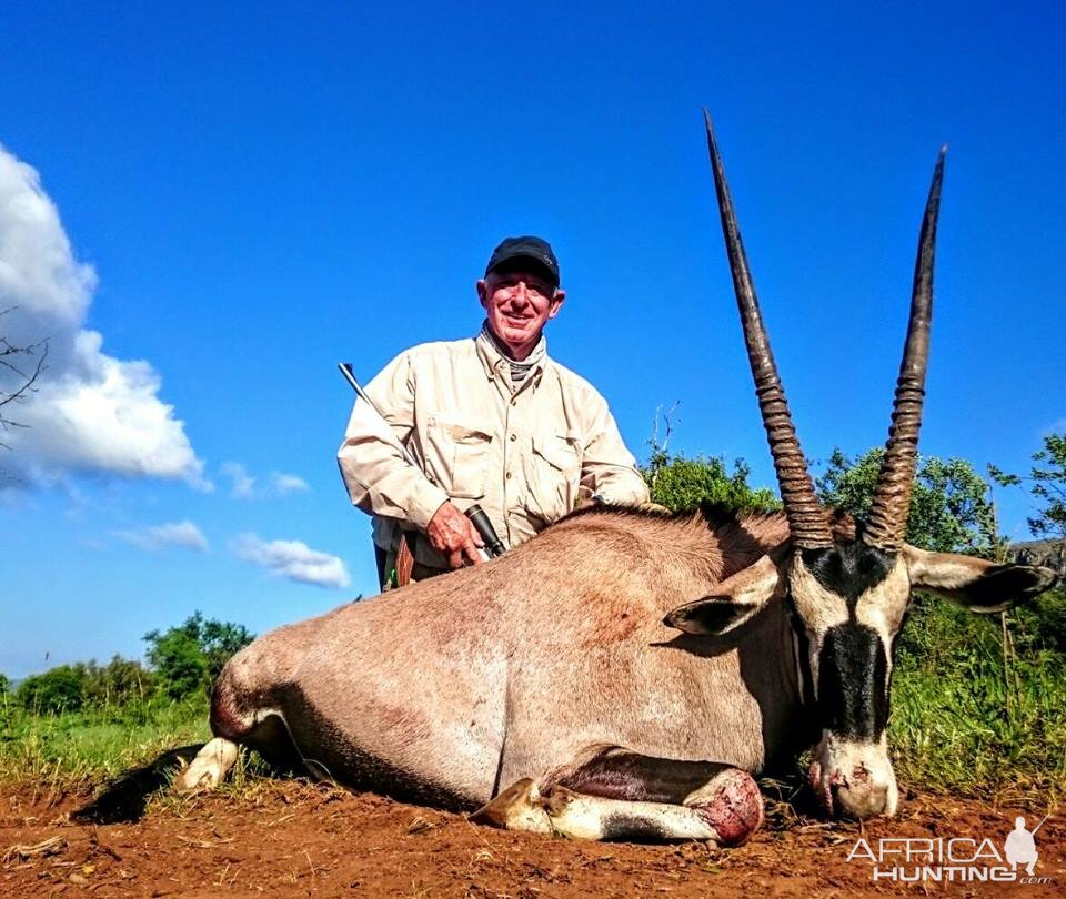 Gemsbok Hunting South Africa