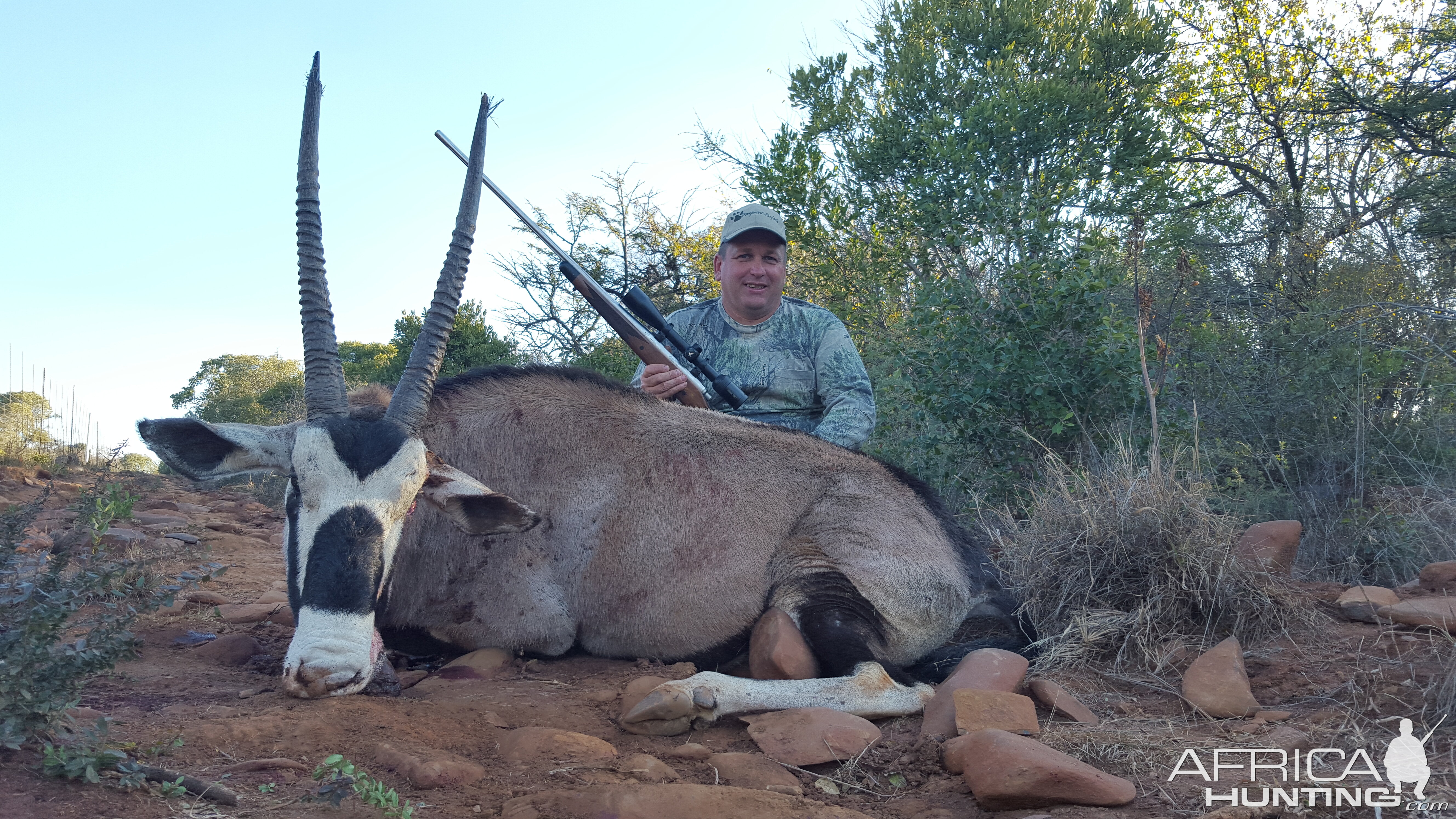 Gemsbok Hunting South Africa