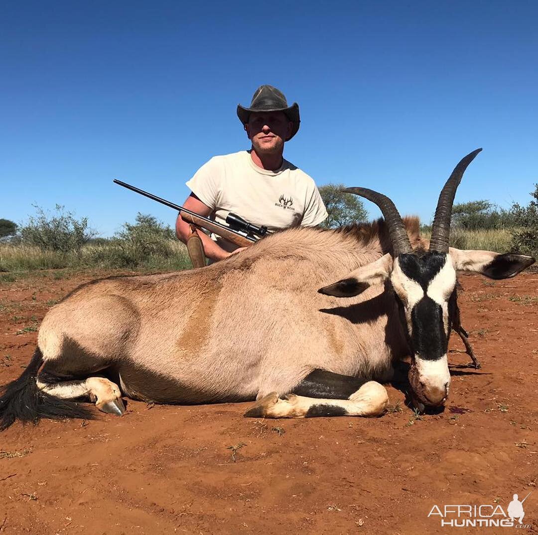 Gemsbok Hunting South Africa