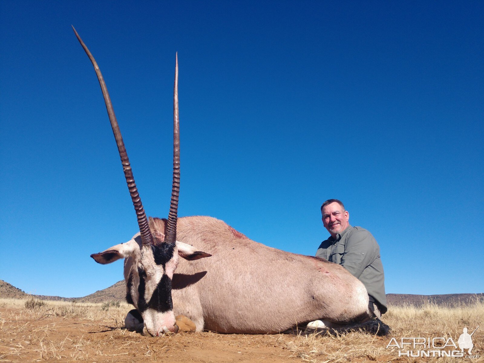 Gemsbok Hunting South Africa