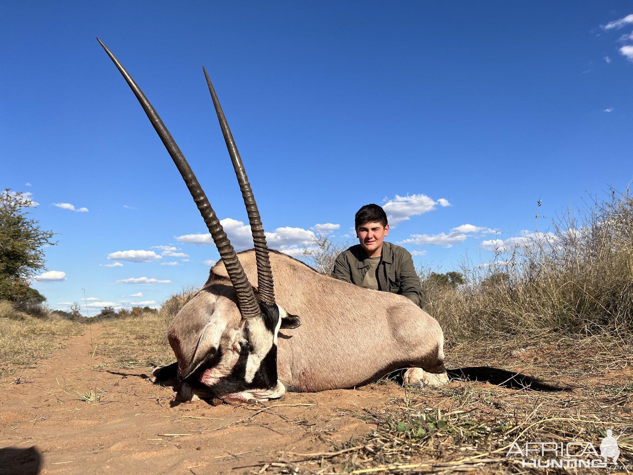 Gemsbok Hunting Thabazimbi Limpopo South Africa