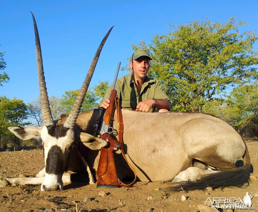 Gemsbok Namibia 2013