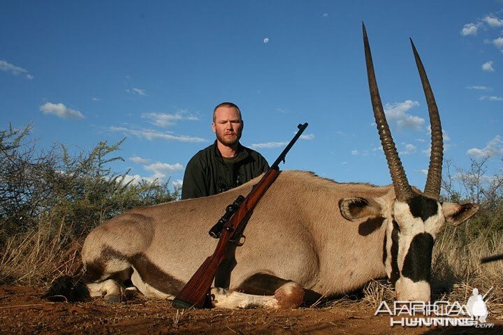 Gemsbok Namibia