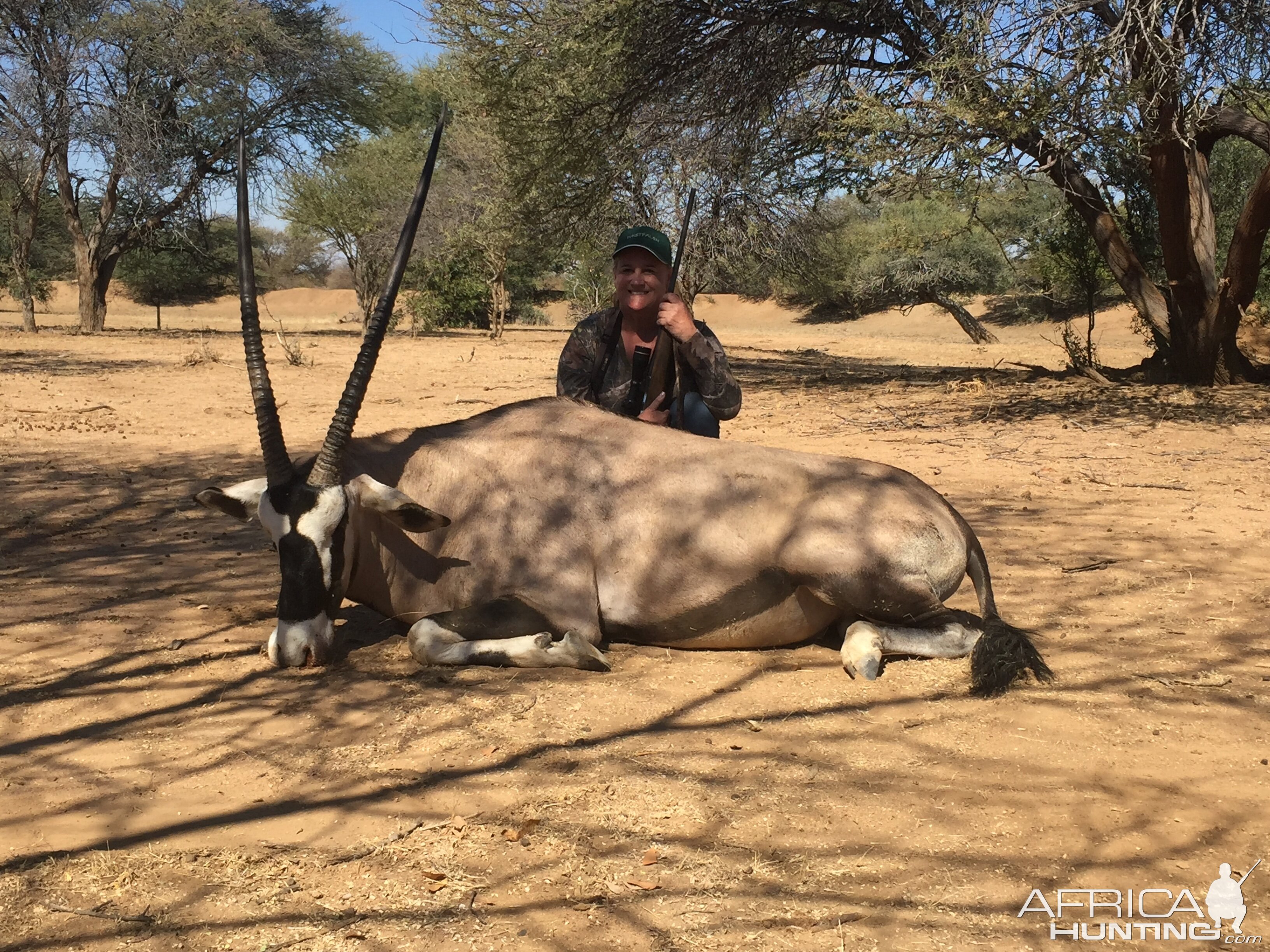 Gemsbok Namibia