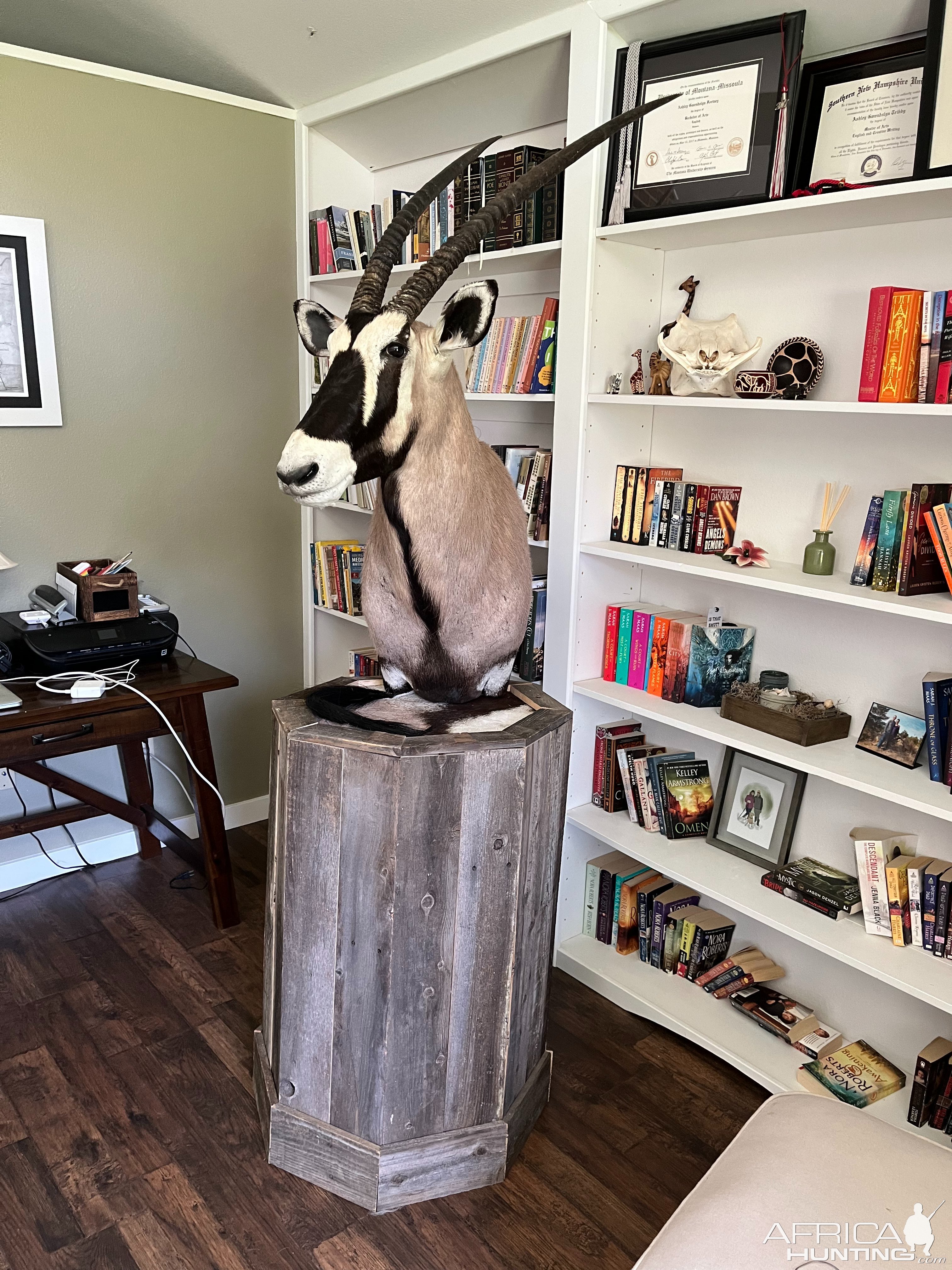 Gemsbok Pedestal Mount Taxidermy