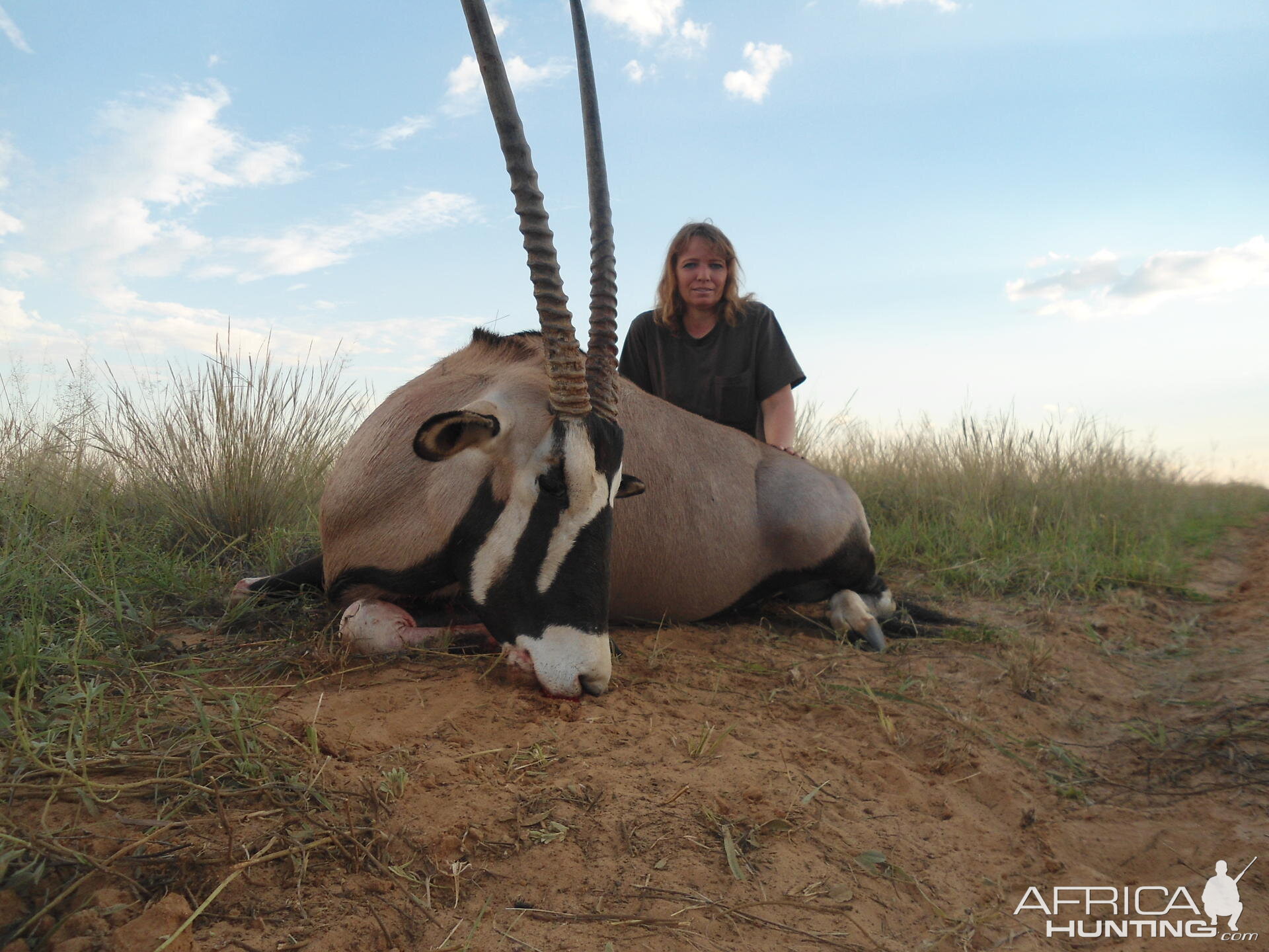 Gemsbok South Africa