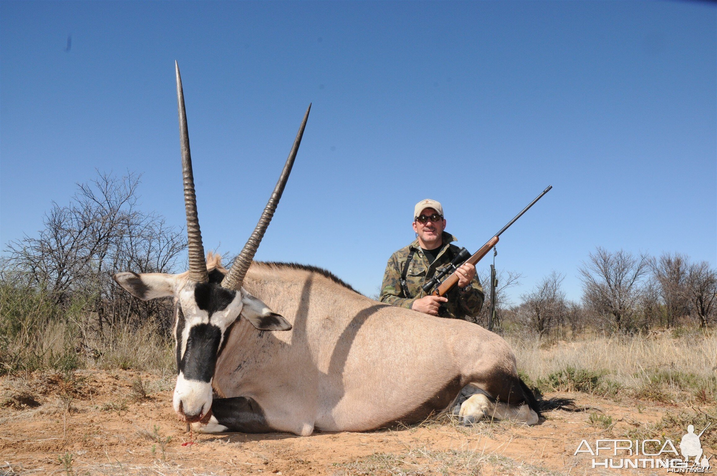 Gemsbok