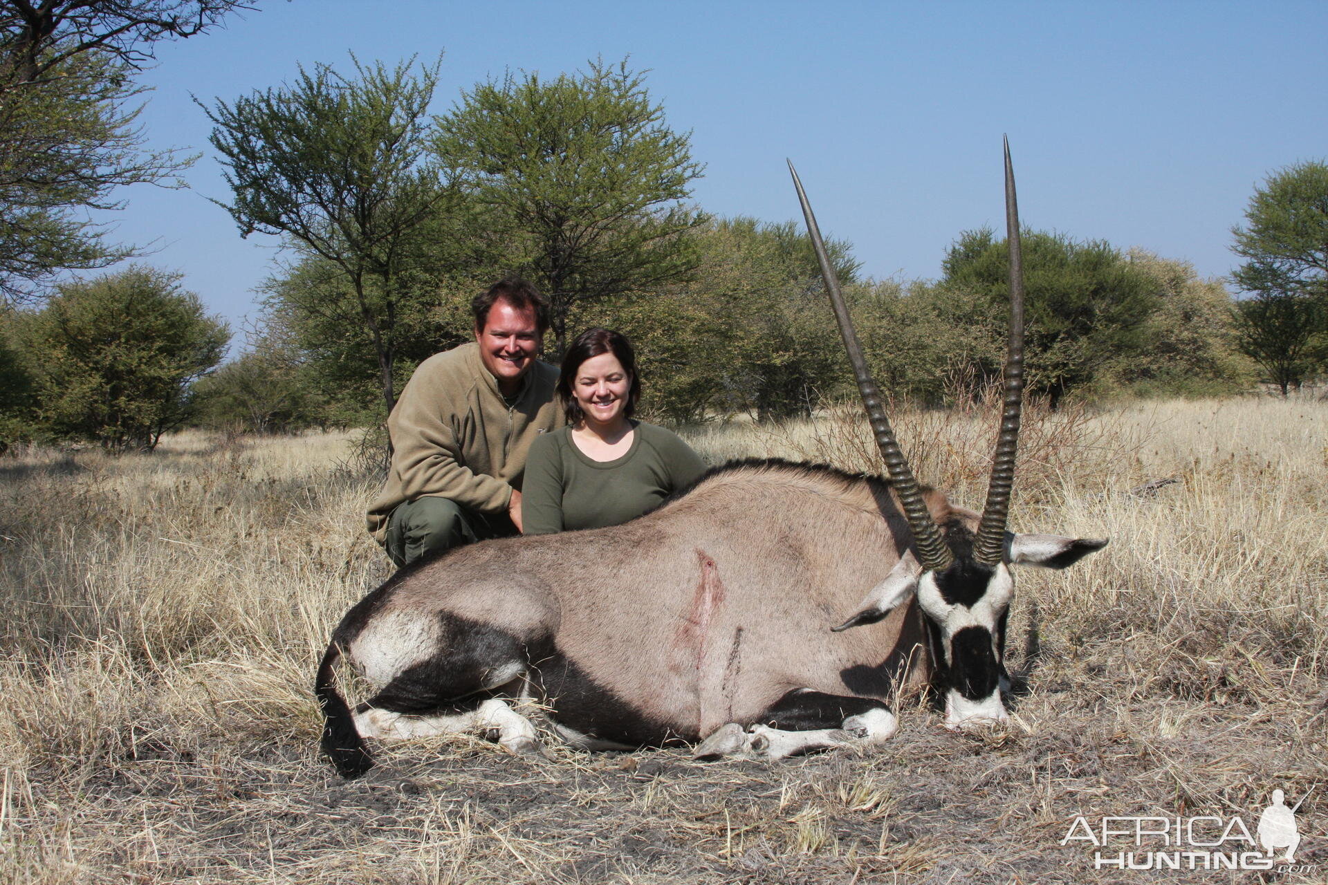 Gemsbok