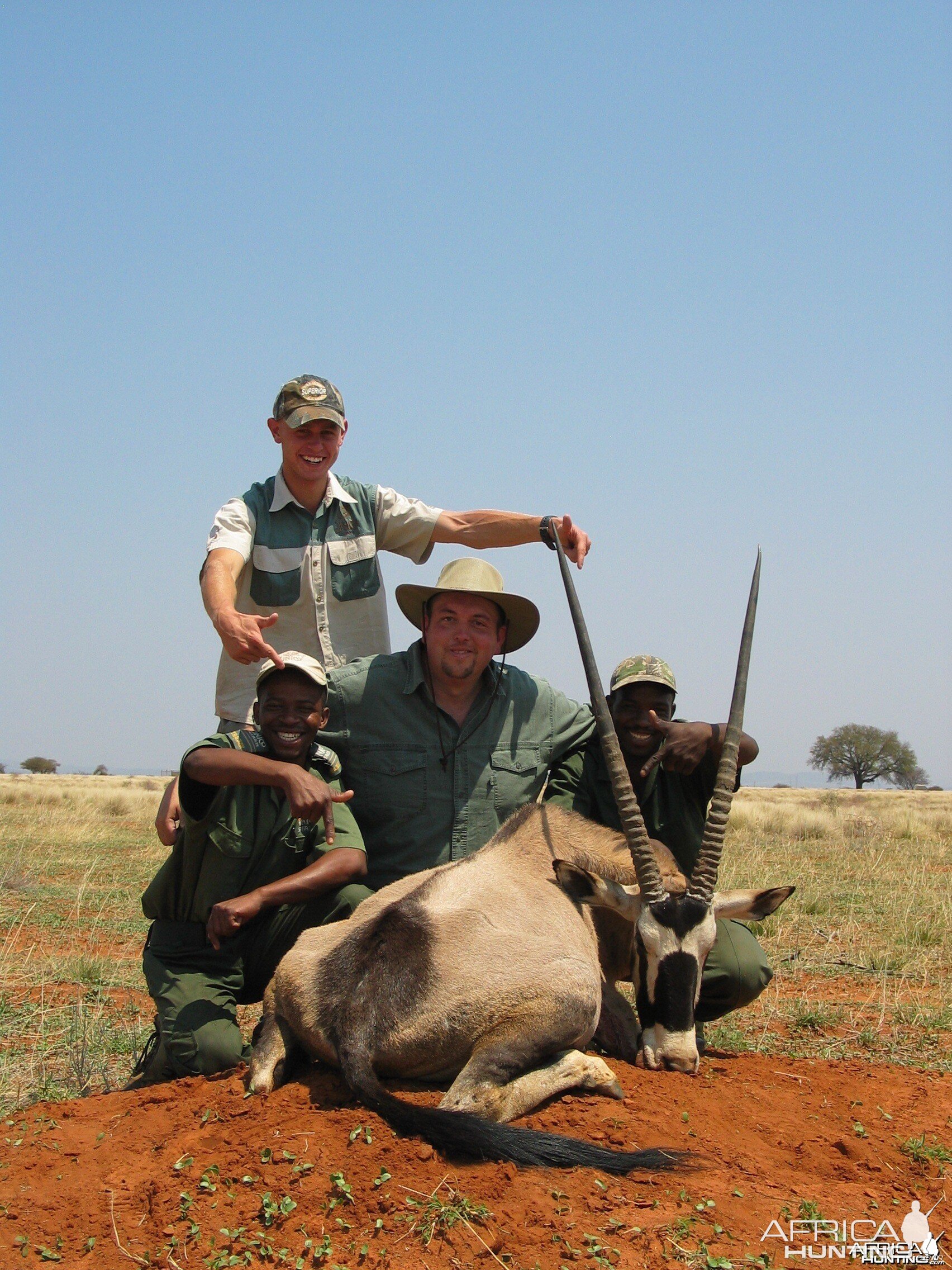 Gemsbok