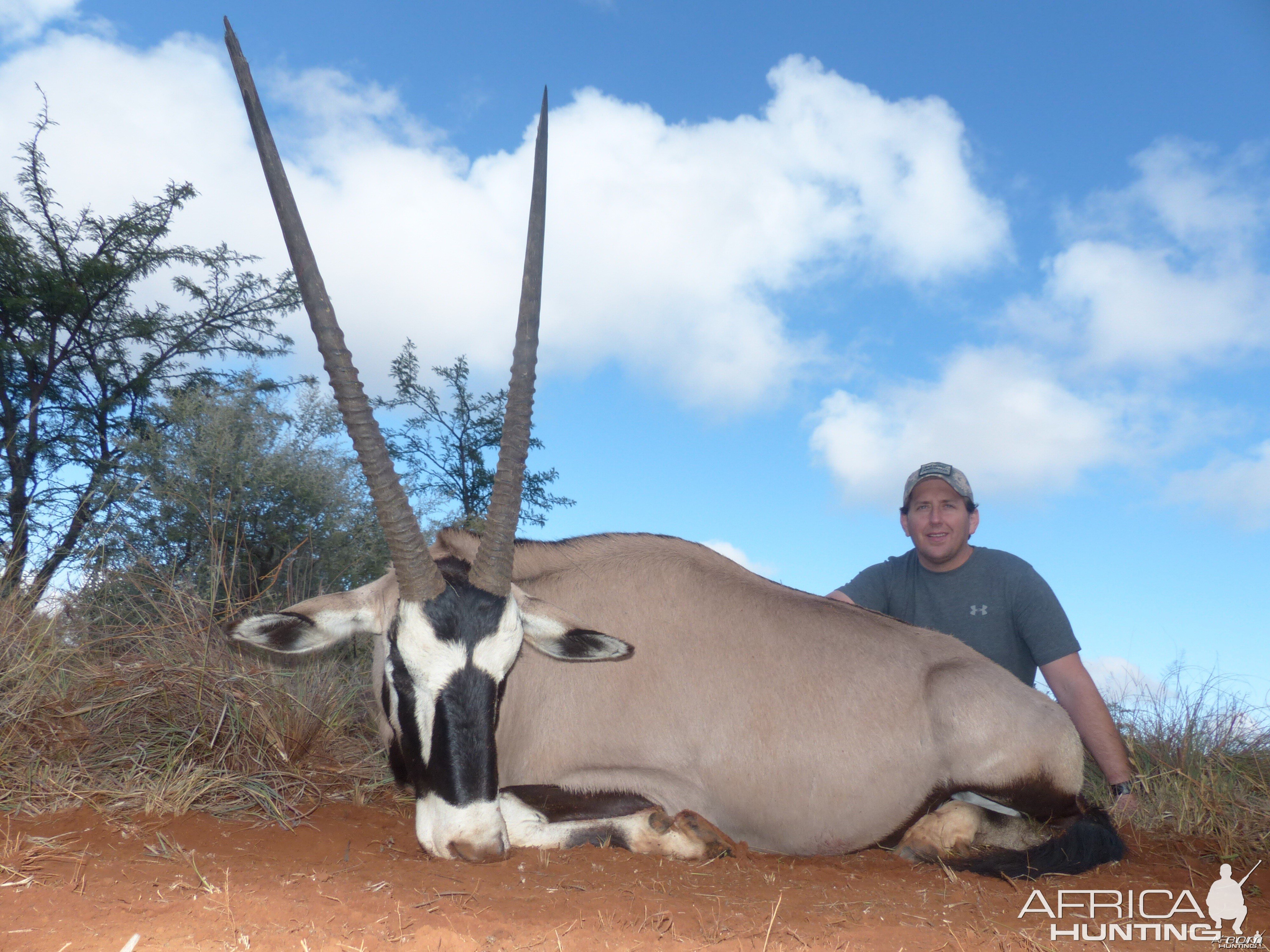 Gemsbok