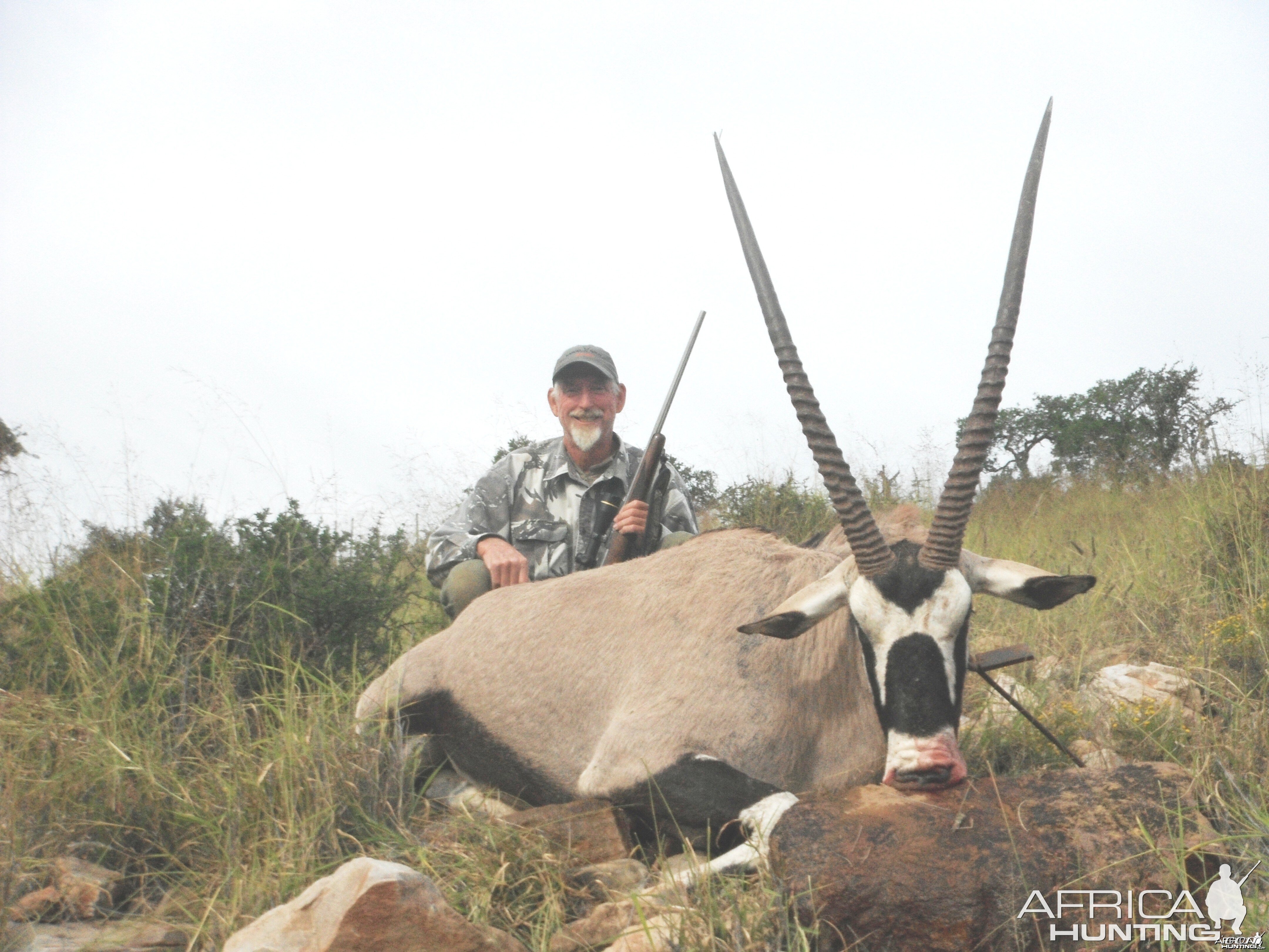 Gemsbok