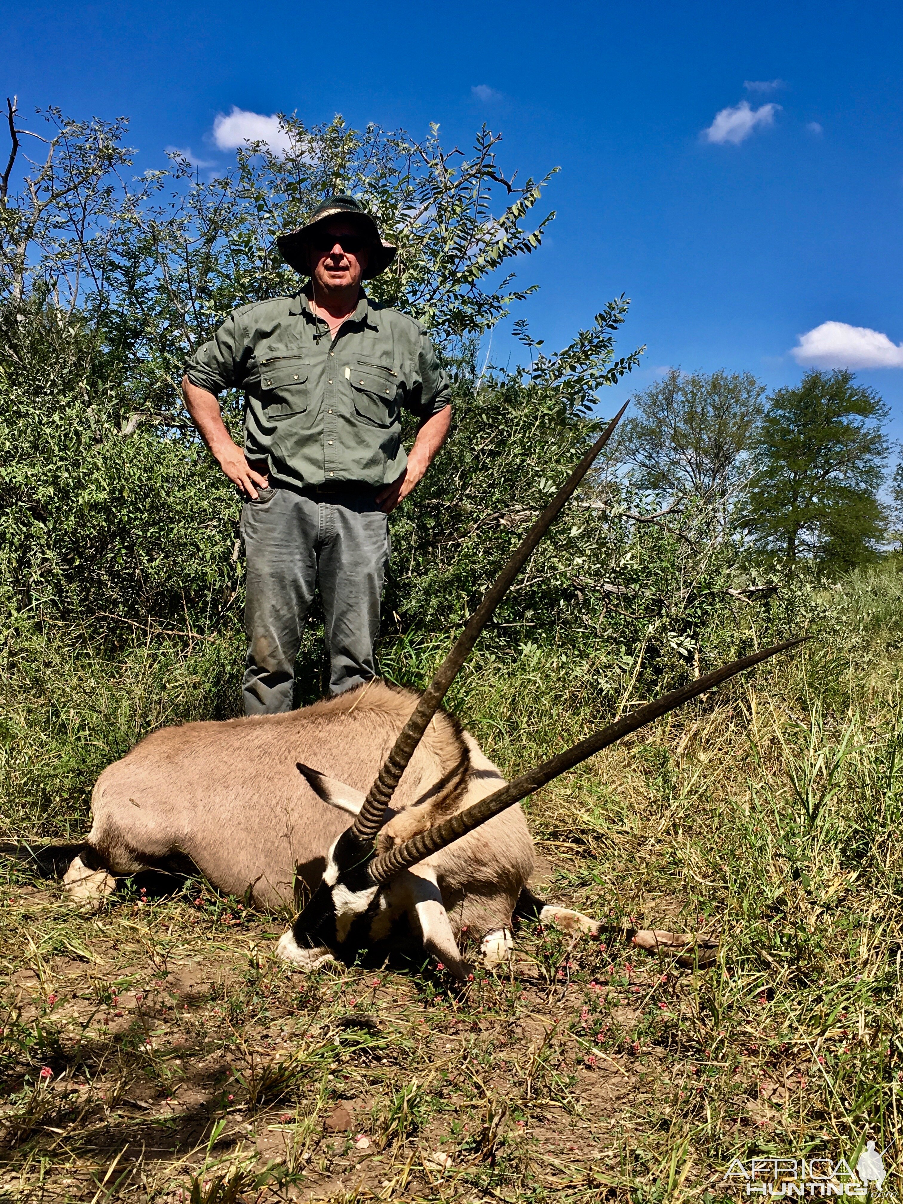 Gemsbpok Hunt South Africa