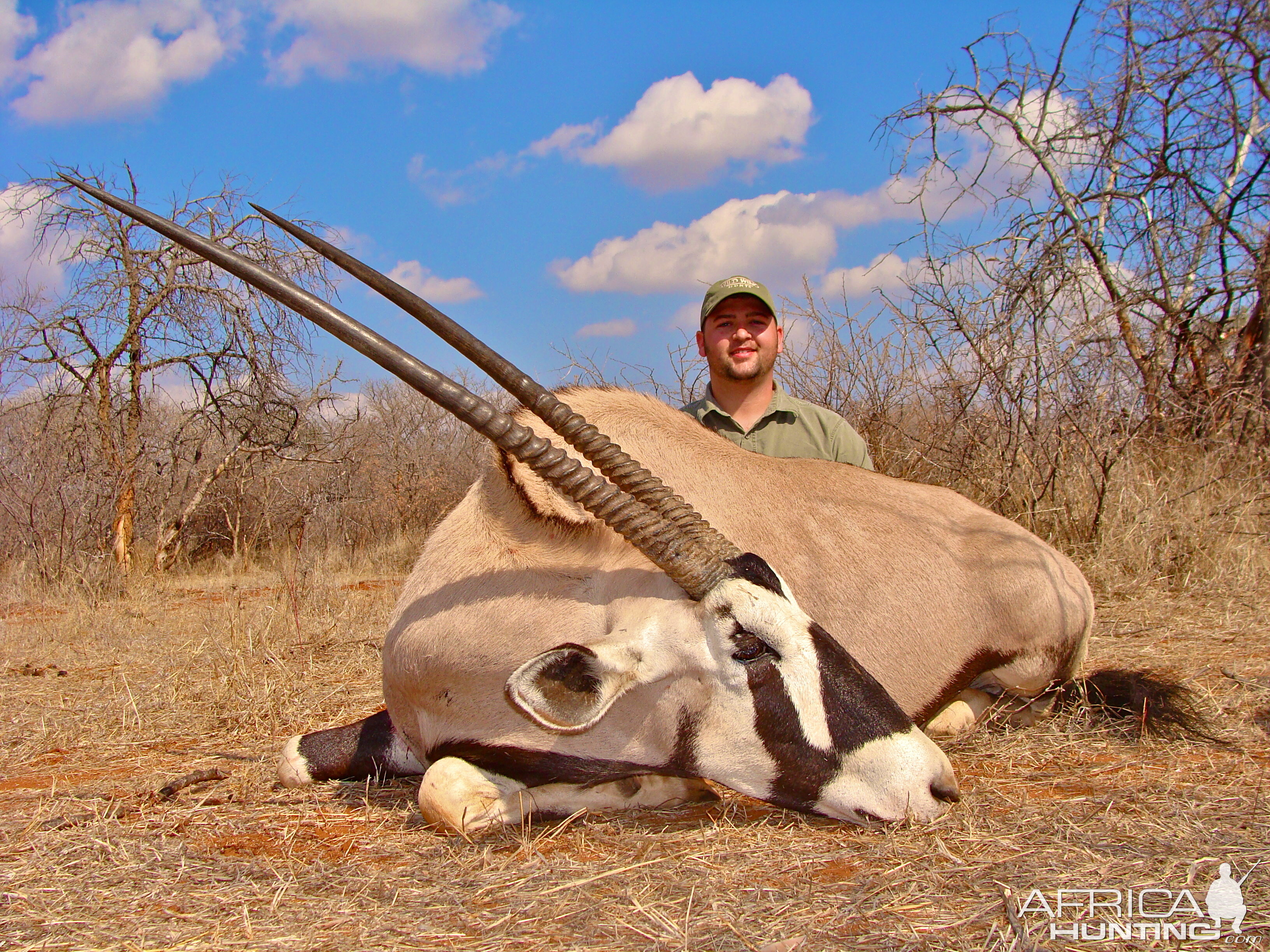 Gemsbuck ~ Limpopo Valley, RSA