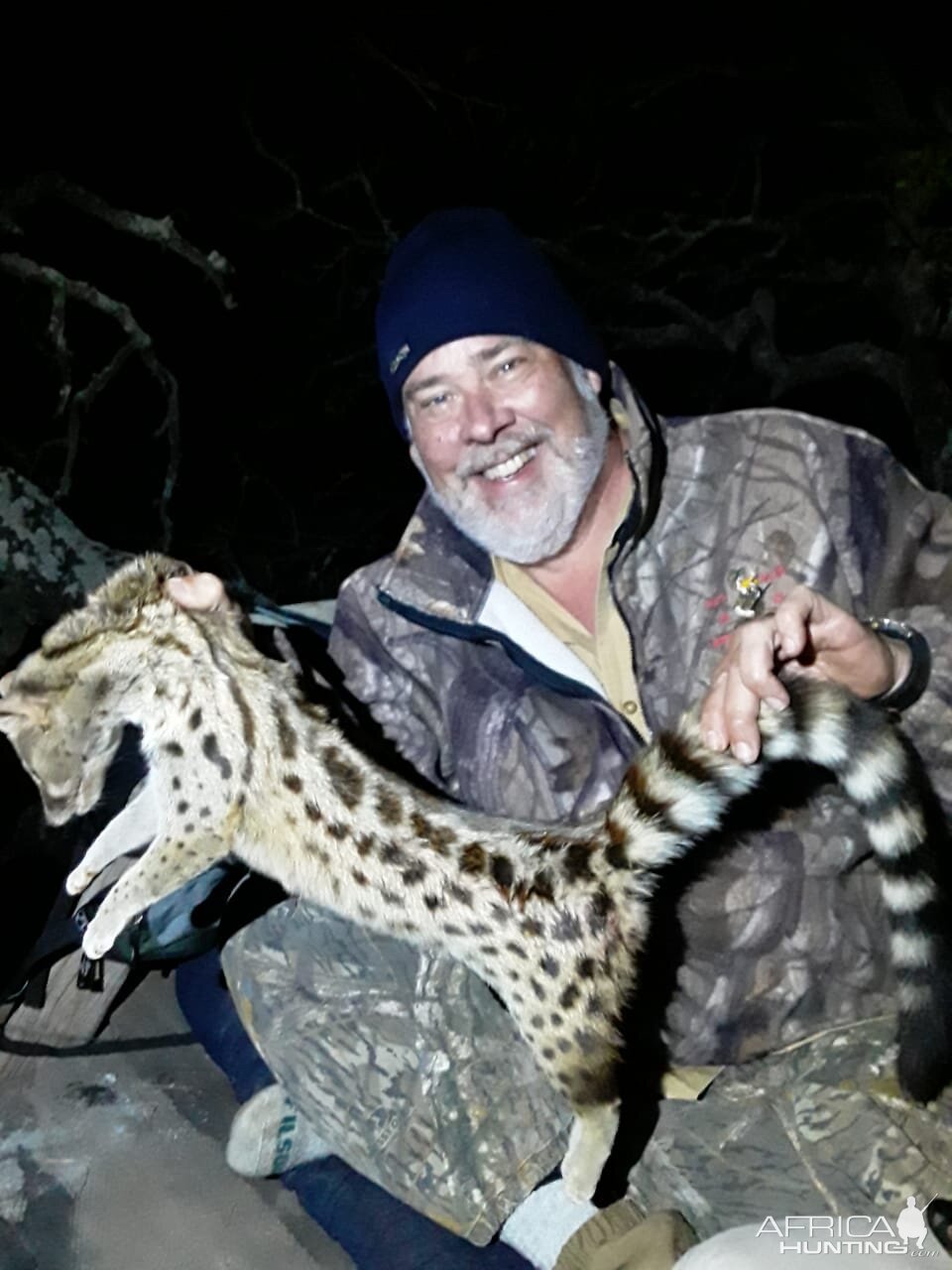 Genet Cat Hunting South Africa