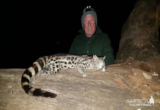 Genet Cat Hunting Sunset Safaris