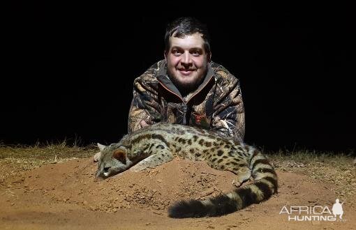 Genet Cat Hunting Sunset Safaris