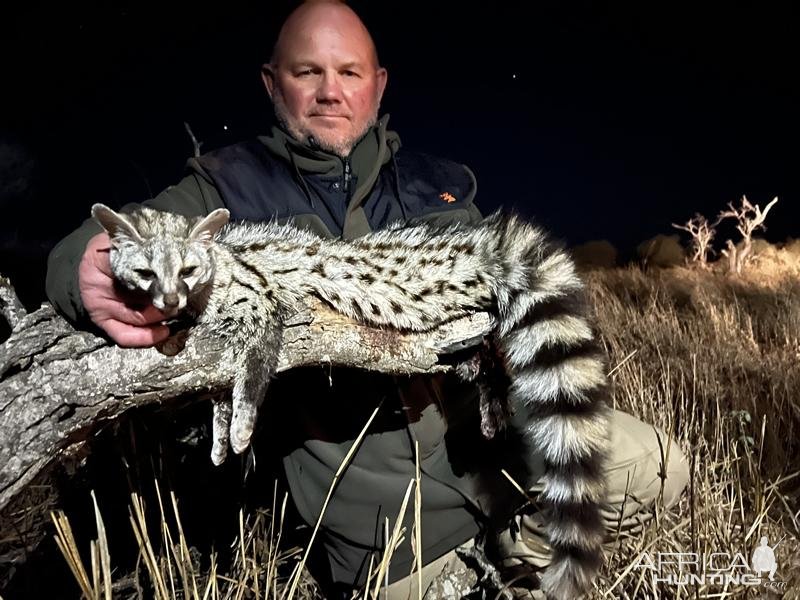 Genet Night Hunt South Africa