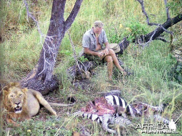 George Adamson with Lion and kill