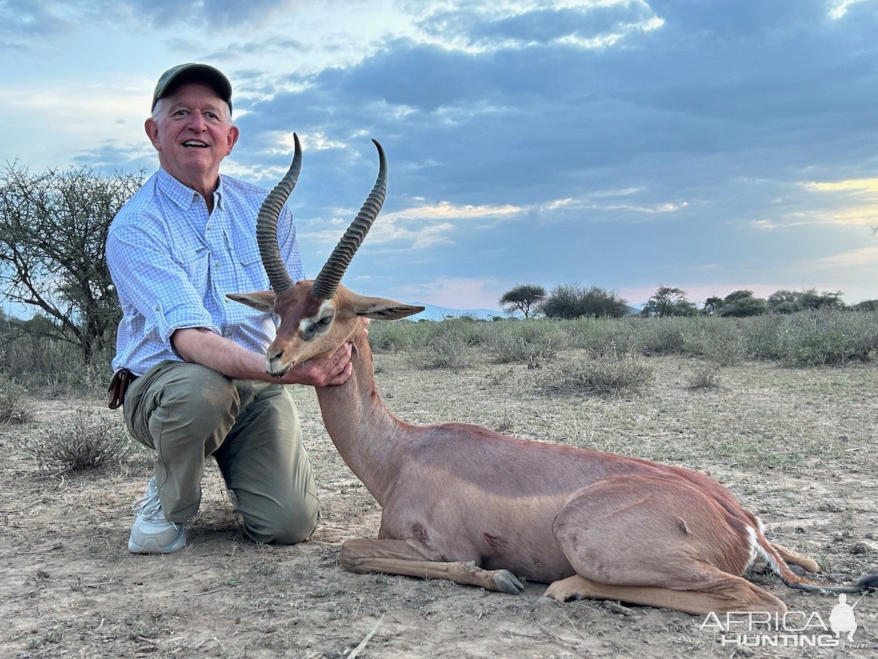 Gerenuk Hunt Masaailand