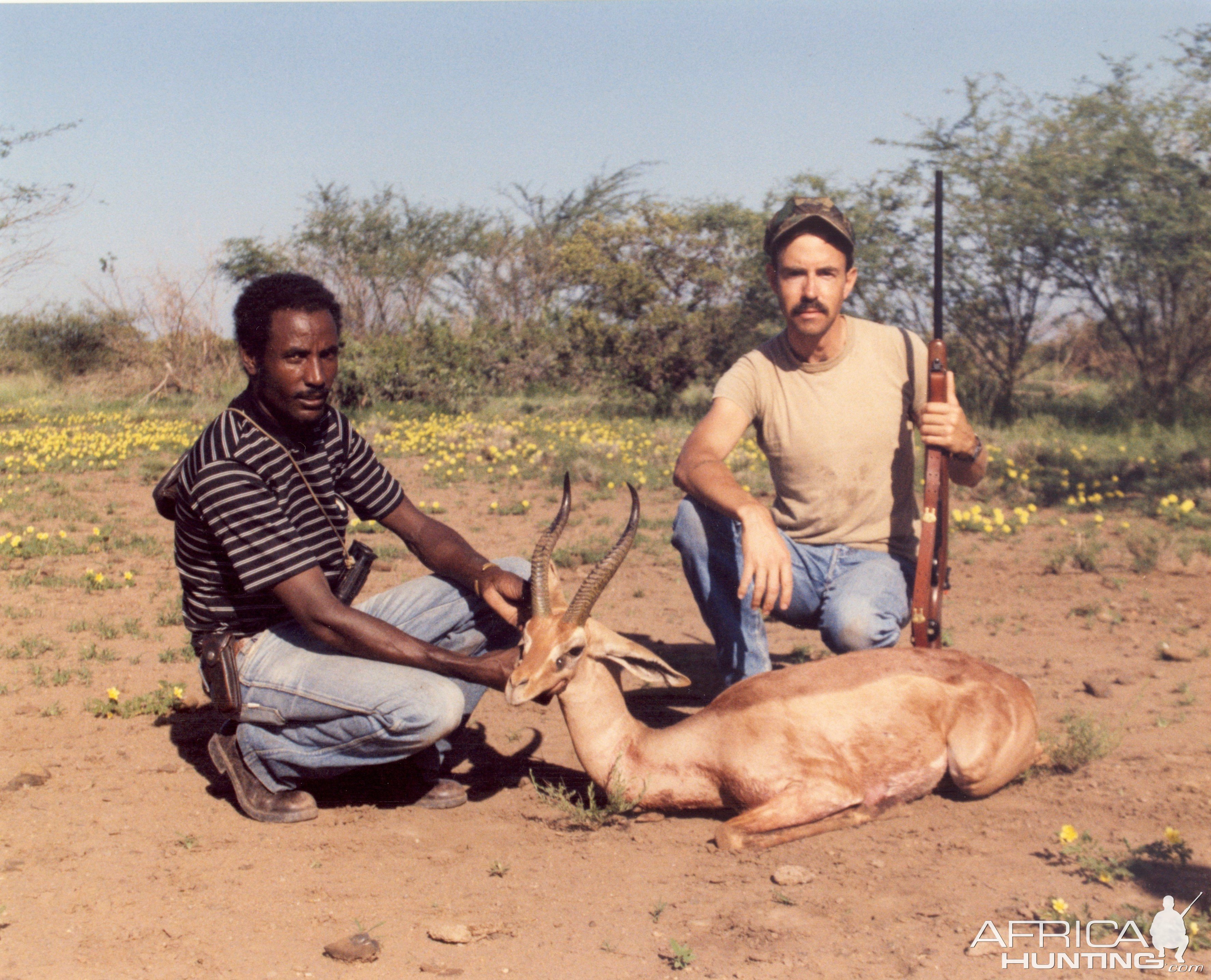 Gerenuk Hunting Ethiopia