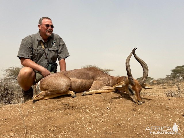 Gerenuk Hunting Masailand Tanzania