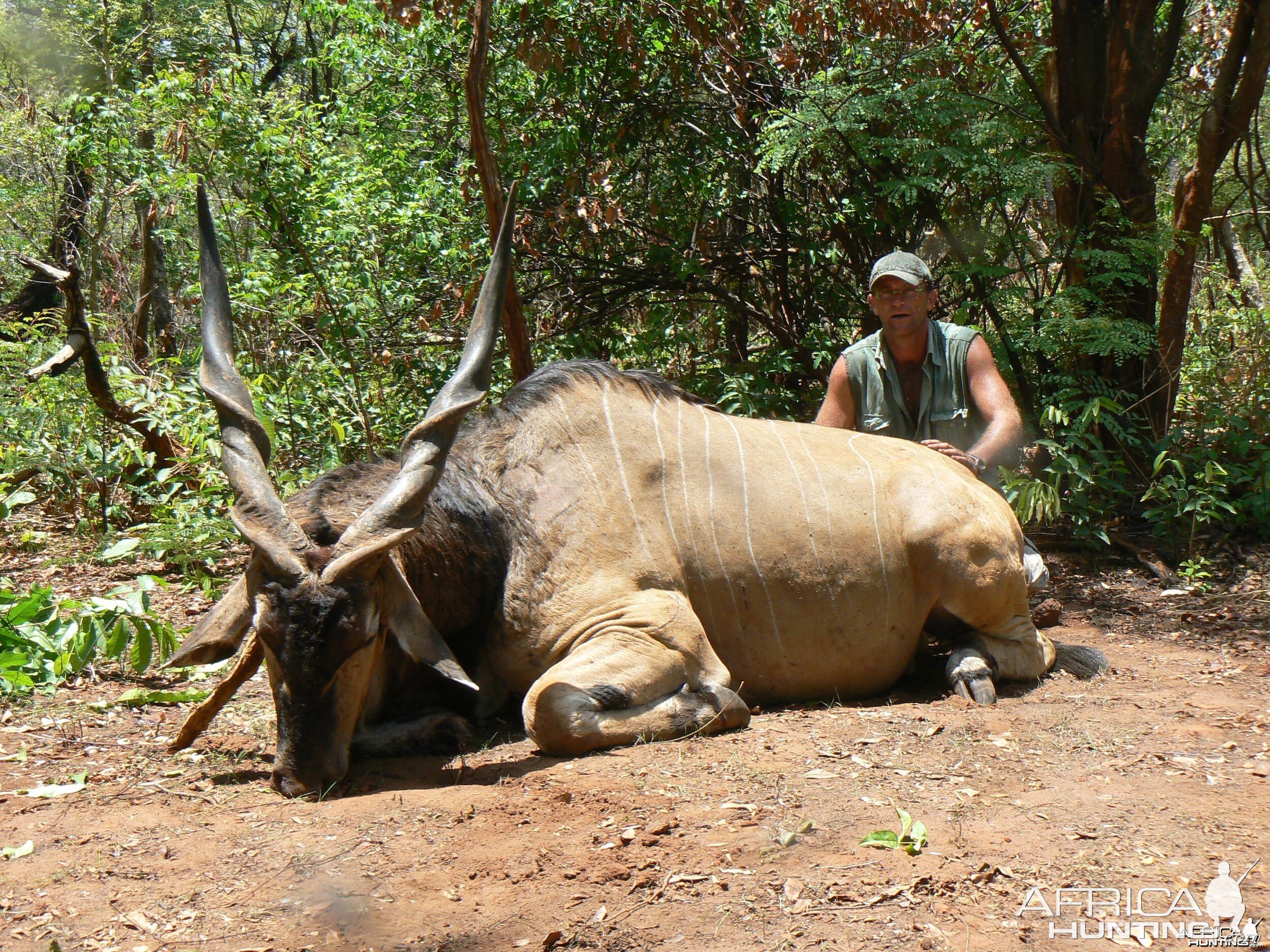 Giant Eland