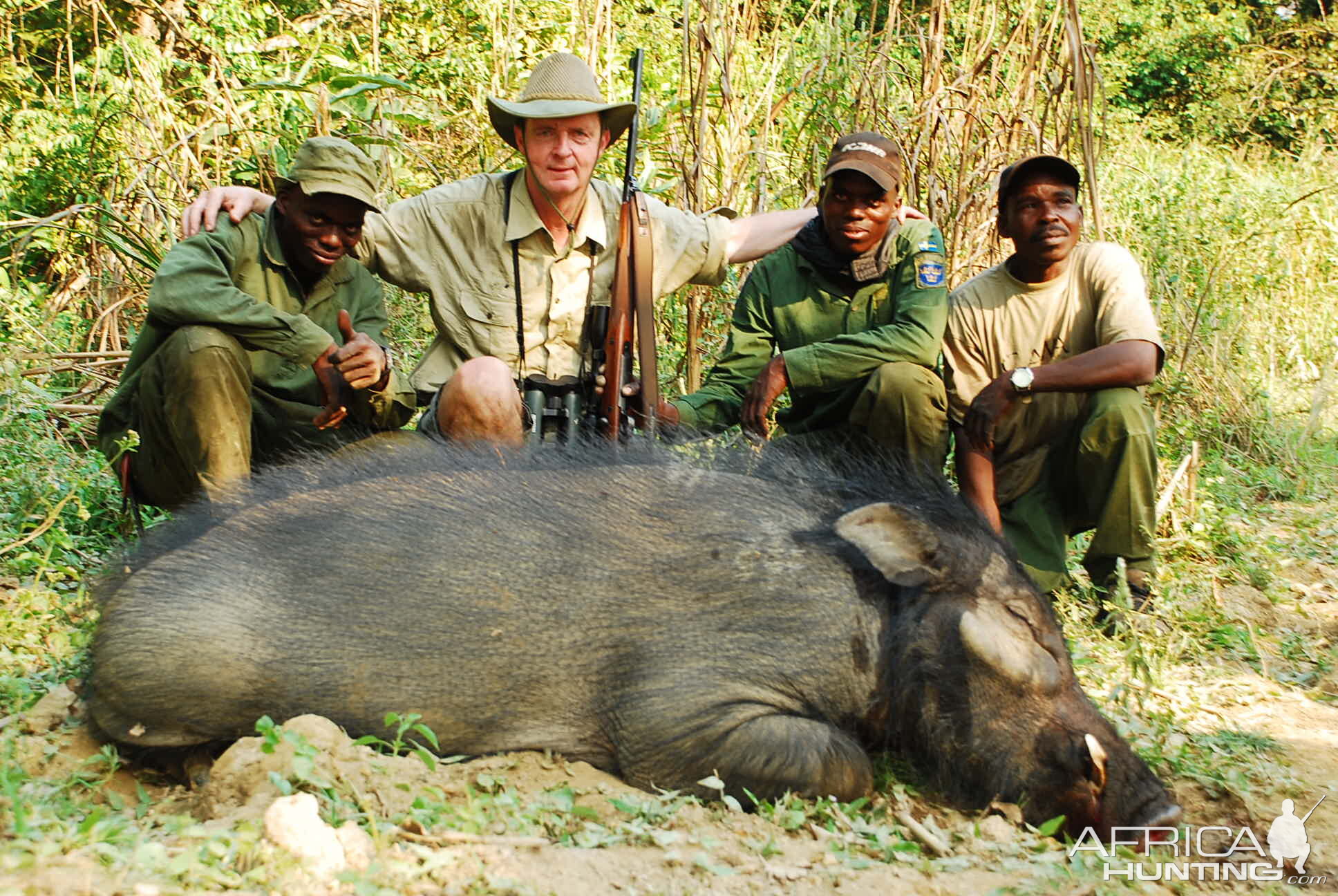 Giant Forest Hog hunted in CAR with Central African Wildlife Adventures