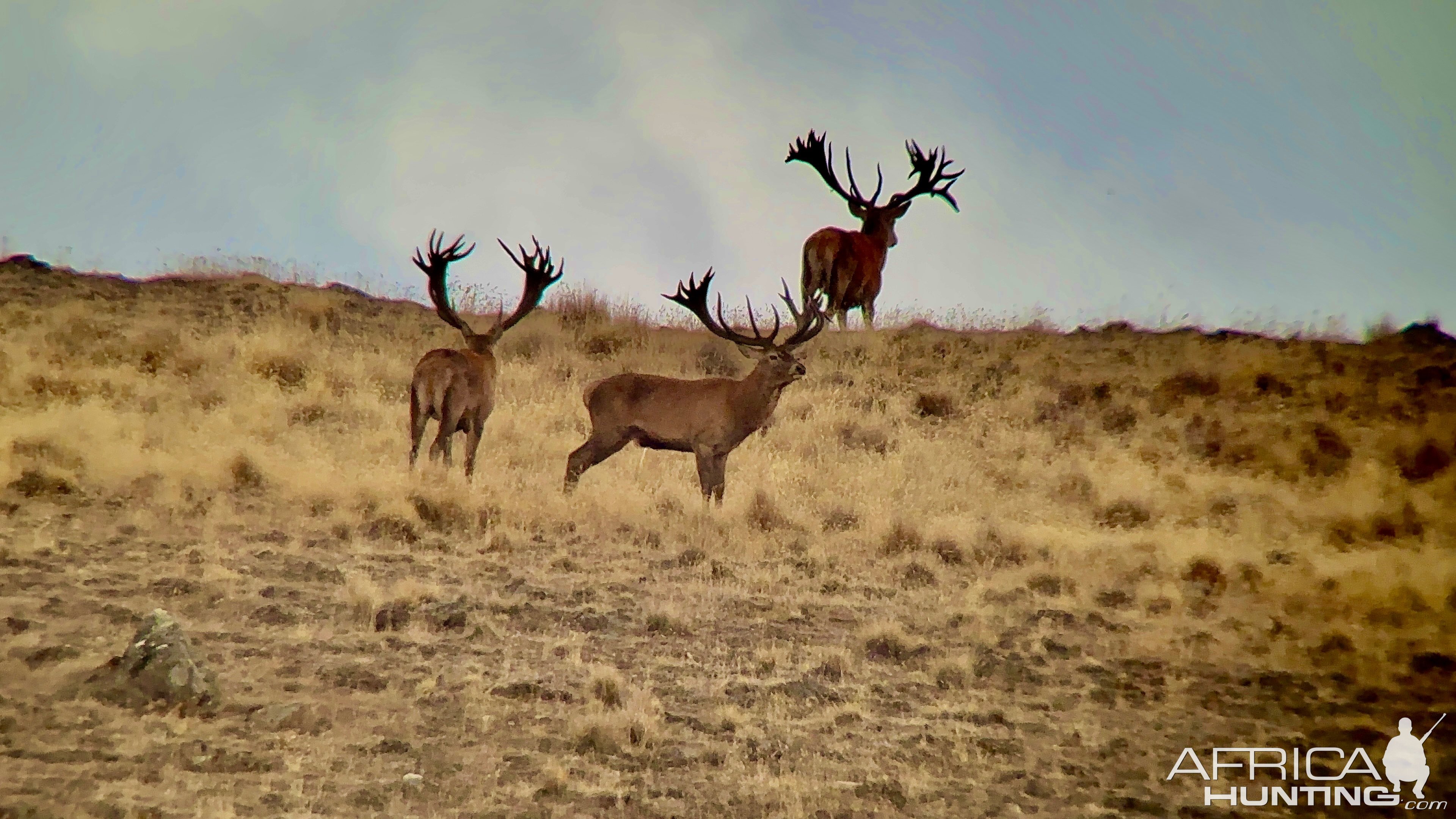 Giants on the mountain