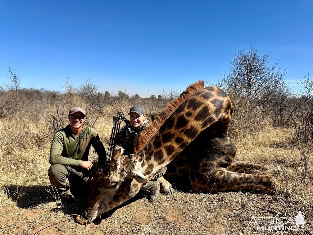 Giraffe Bow Hunt South Africa