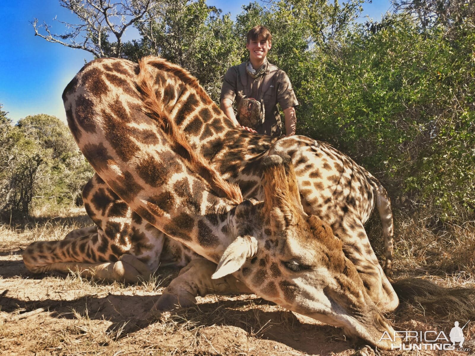 Giraffe Hunt Eastern Cape South Africa