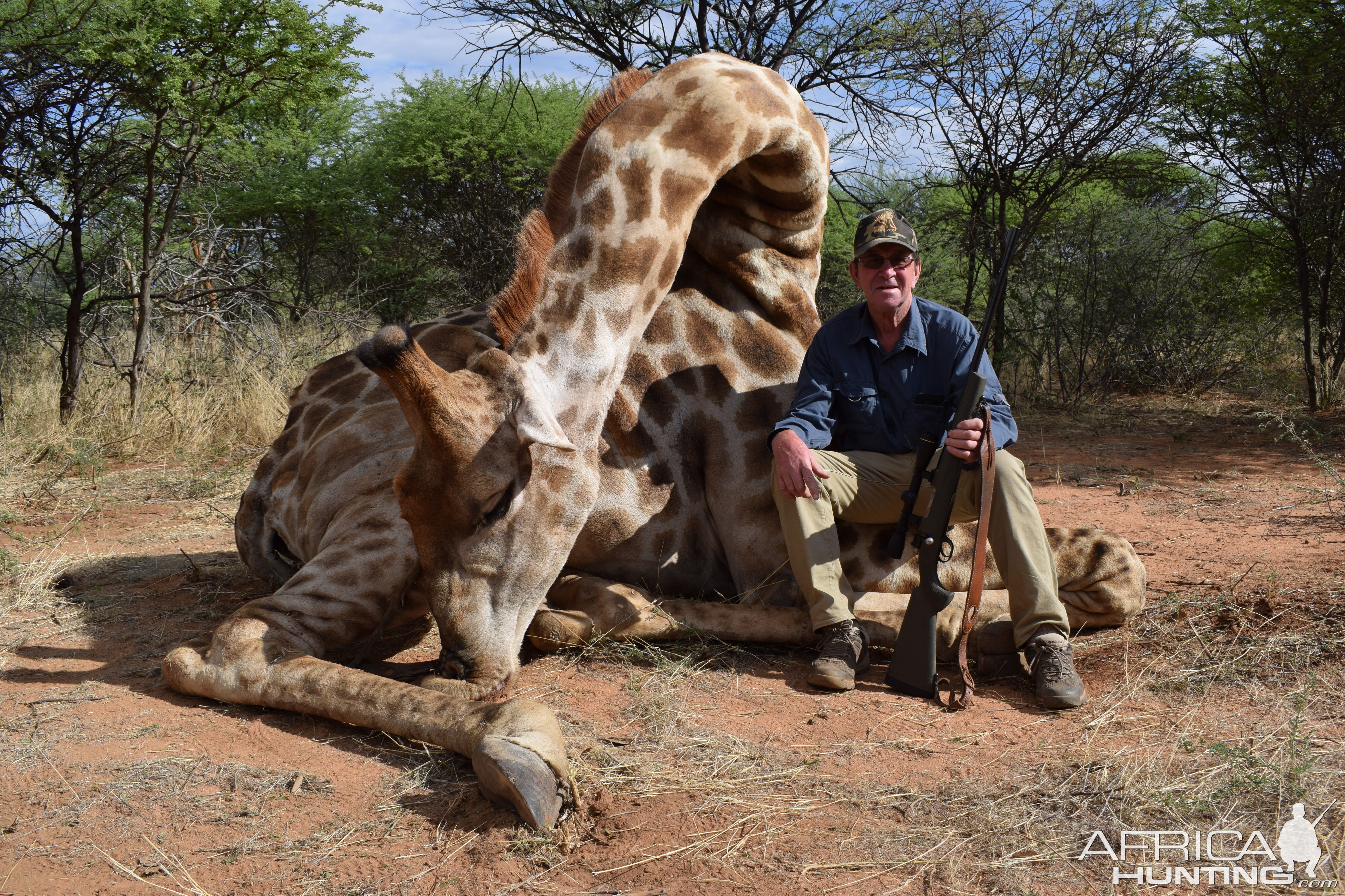 Giraffe Hunt Namibia