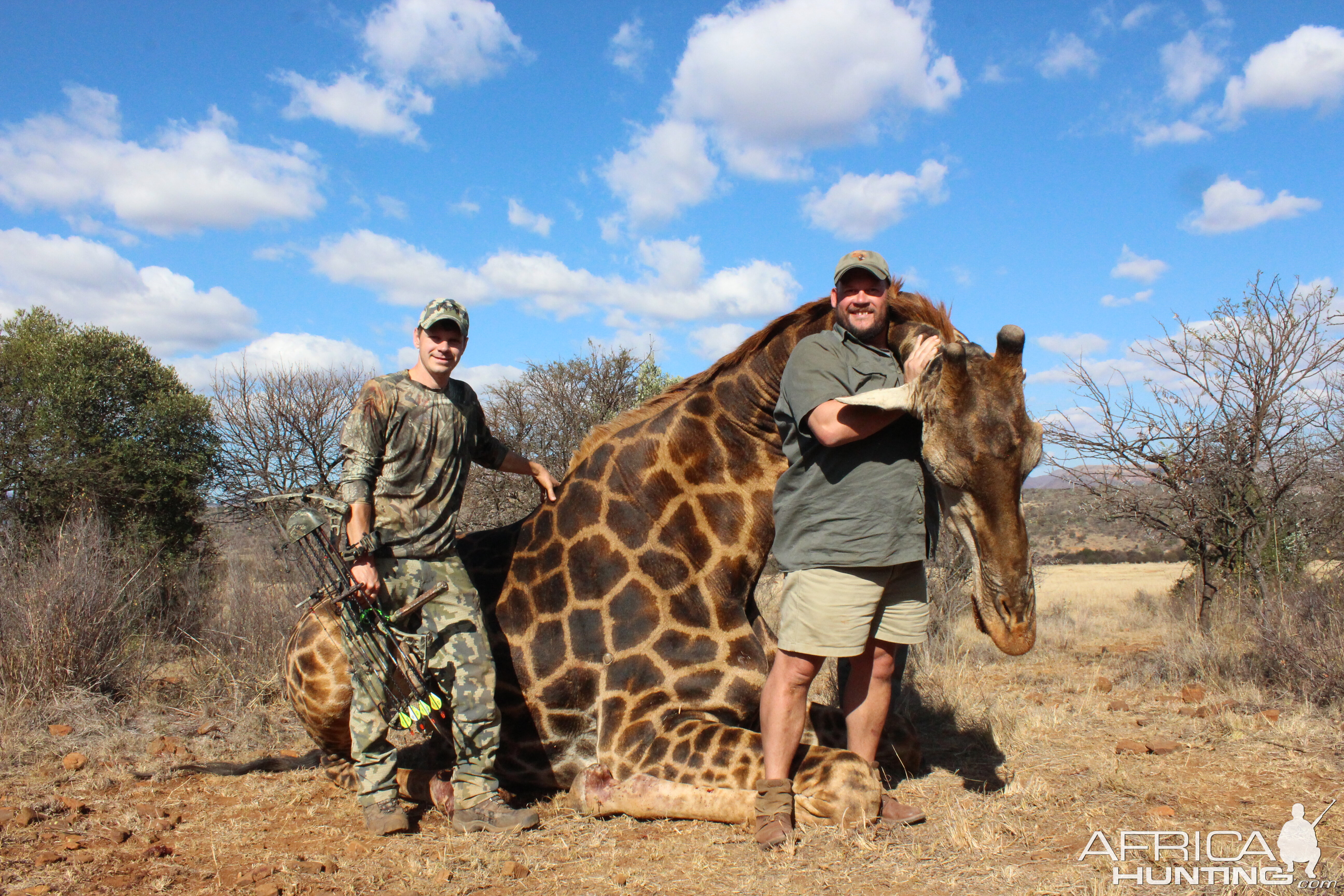 Giraffe Hunt South Africa