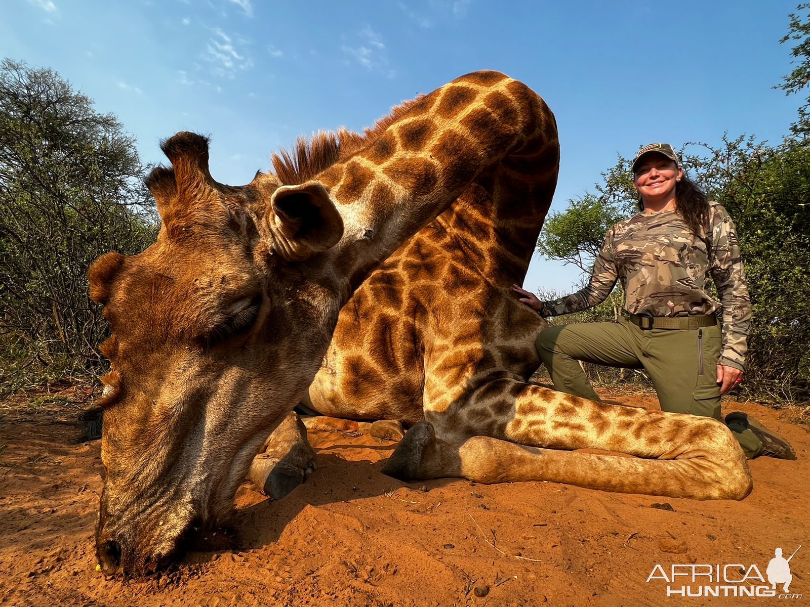 Giraffe Hunt South Africa