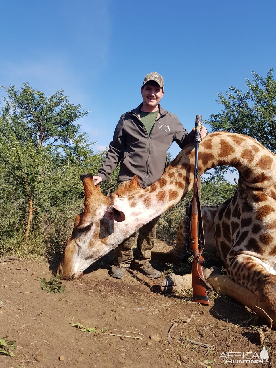 Giraffe Hunt South Africa