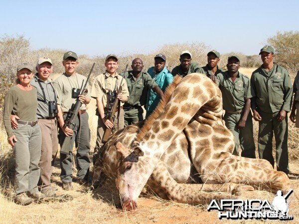 Giraffe hunted at Westfalen Hunting Safaris Namibia