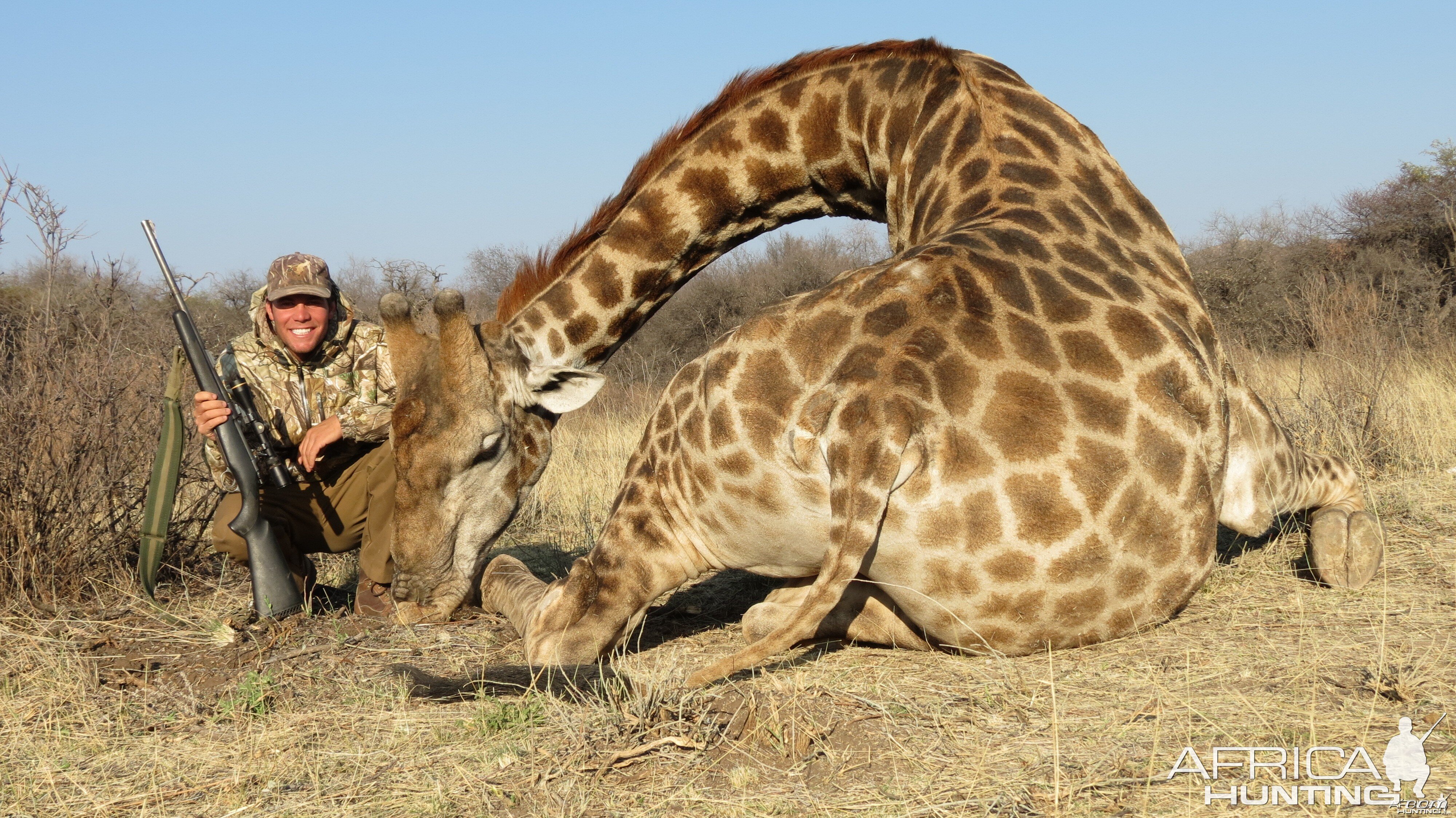 Giraffe hunted with Ozondjahe Hunting Safaris in Namibia