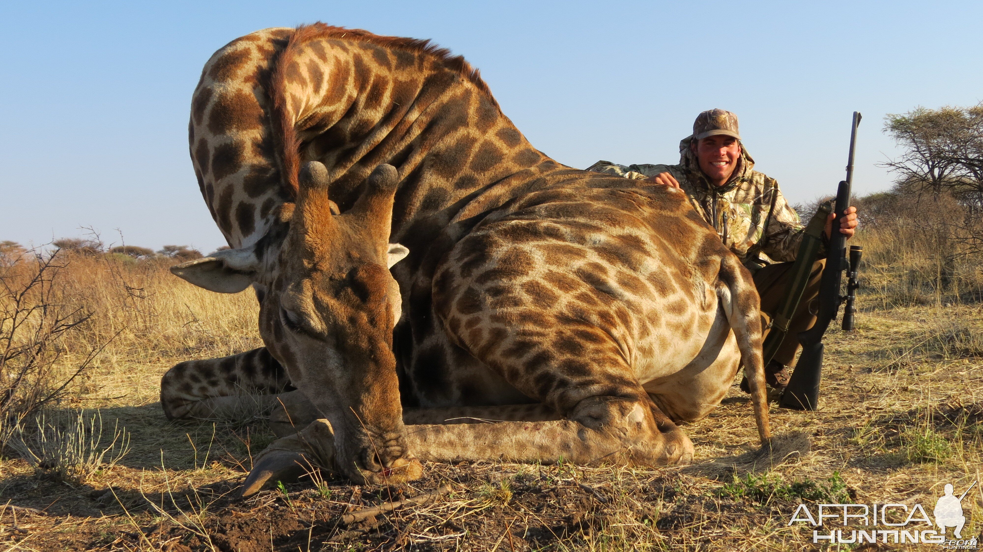 Giraffe hunted with Ozondjahe Hunting Safaris in Namibia