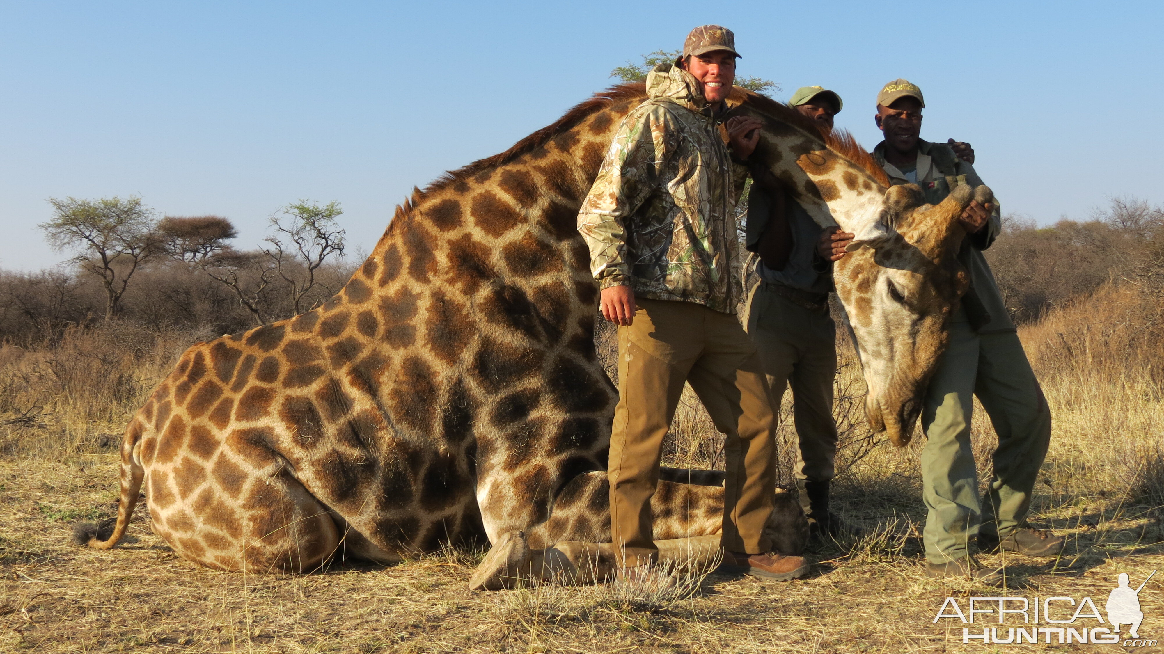 Giraffe hunted with Ozondjahe Hunting Safaris in Namibia