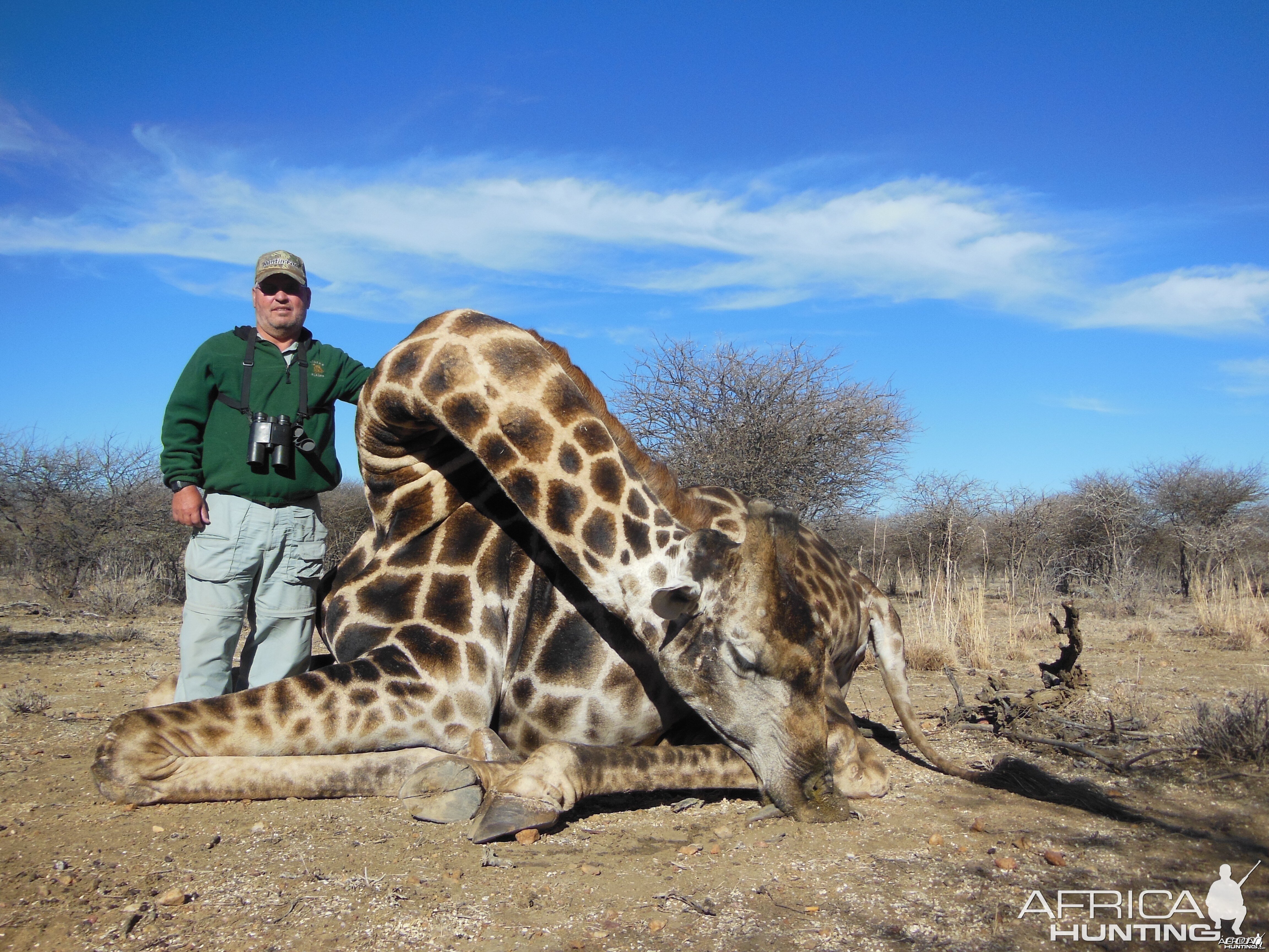 Giraffe hunted with Ozondjahe Hunting Safaris in Namibia