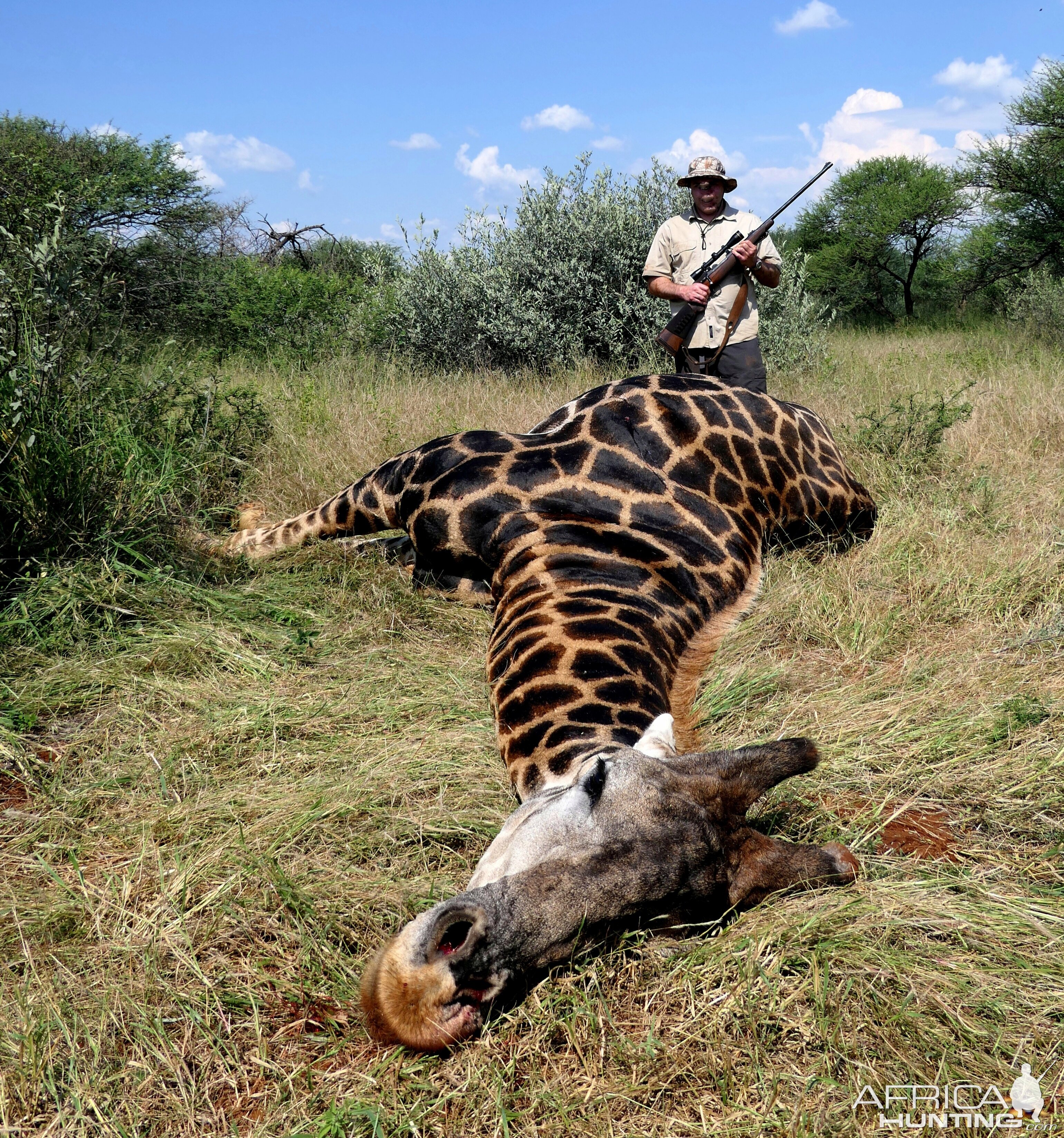 Giraffe Hunting South Africa