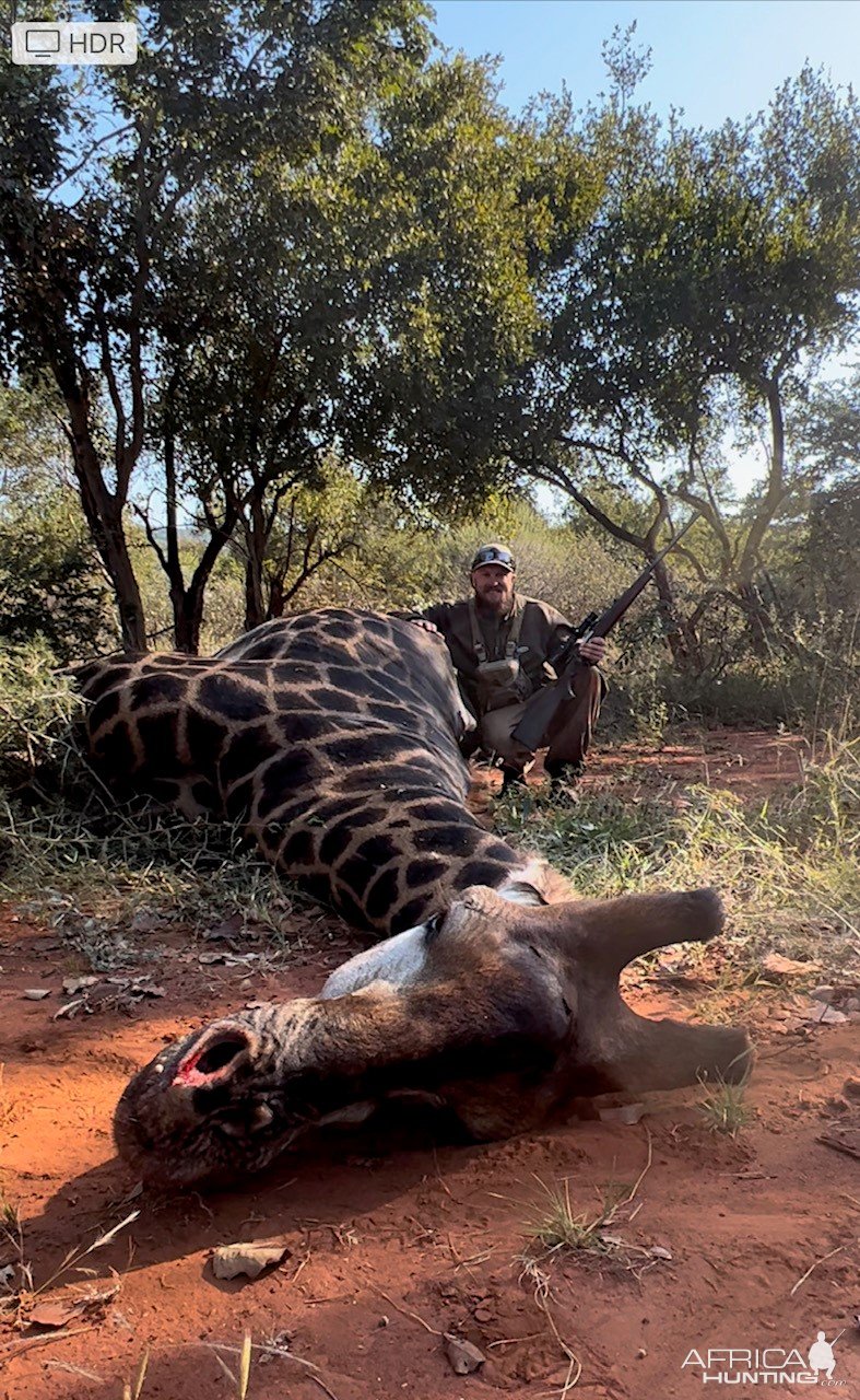 Giraffe Hunting South Africa