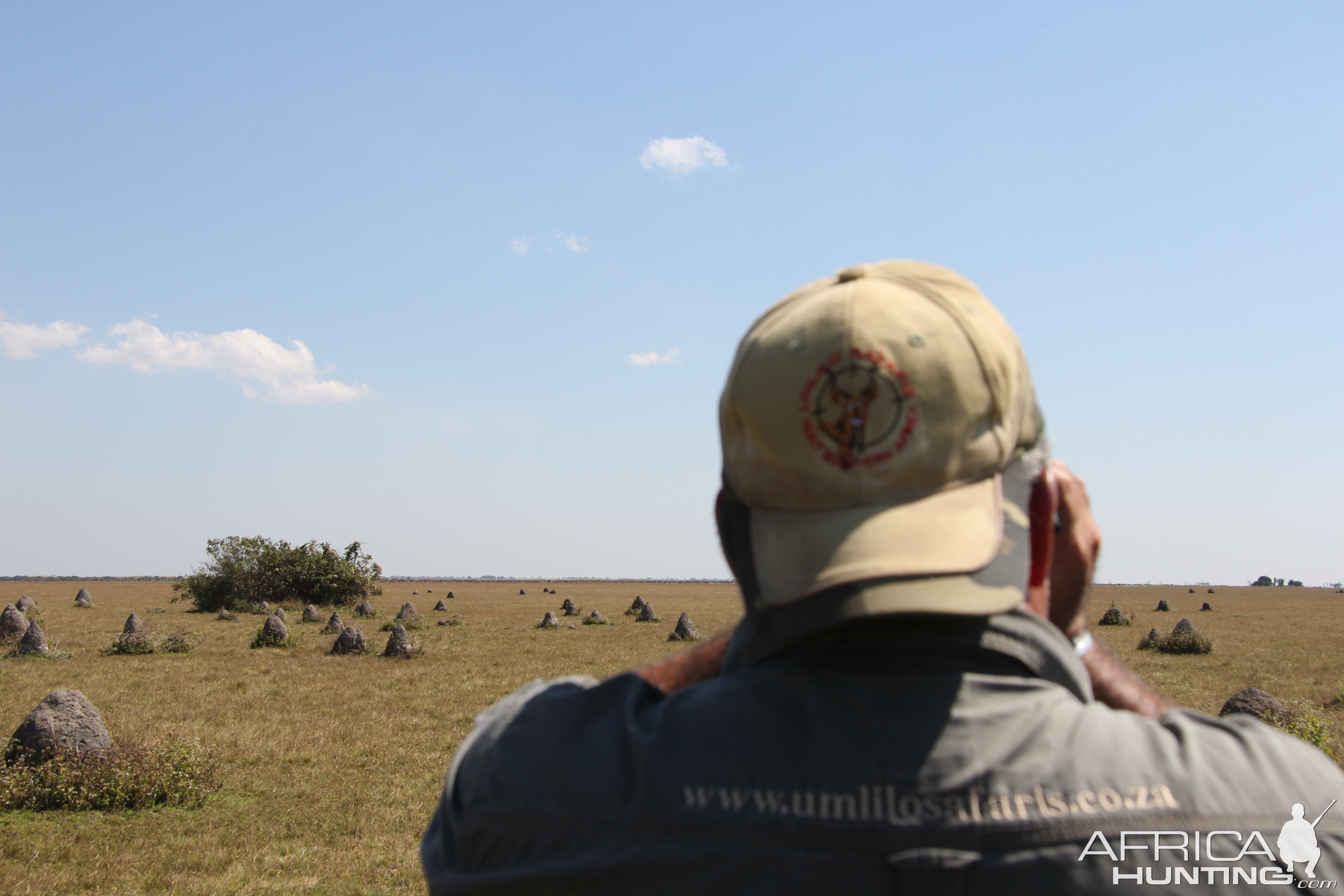 Glassing Black Lechwe Bangweulu Wetlands Zambia